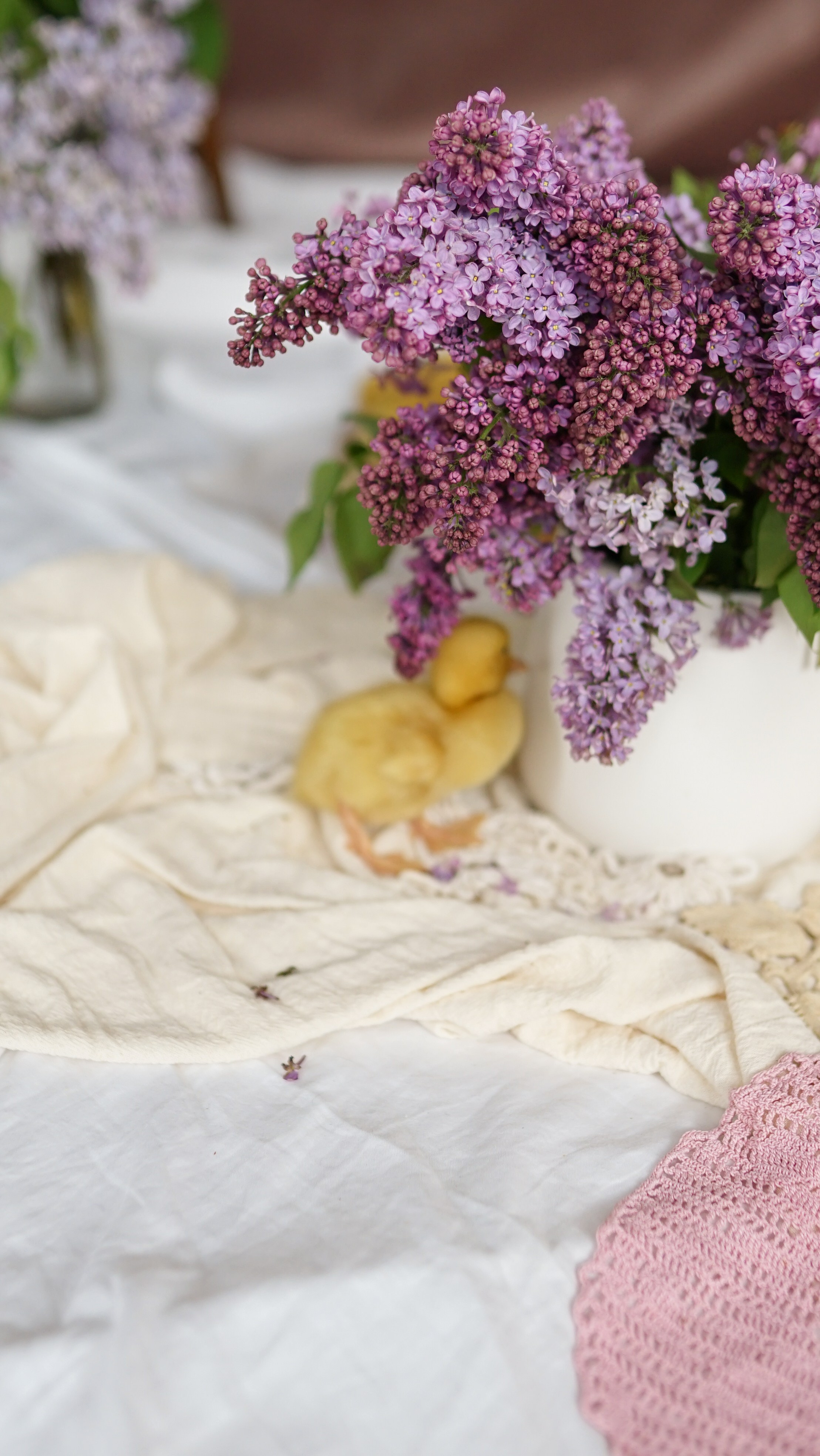 Ședințe Foto de Paște Brașov: Gălbenuș | Mădălina Beda. Madalina Beda- Artist vizual, fotograf, doula la nastere, consultant babywearing Brasov si in toata tara