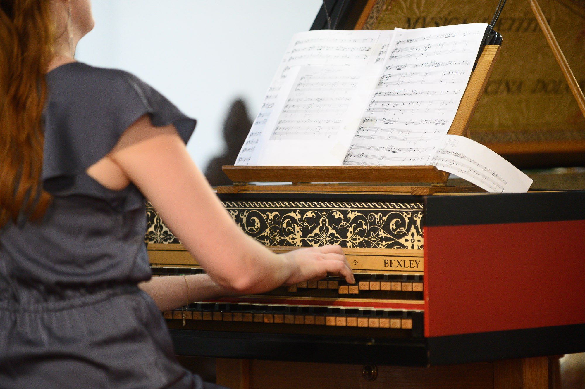 Concerts. Alexander Kabanov Photographer