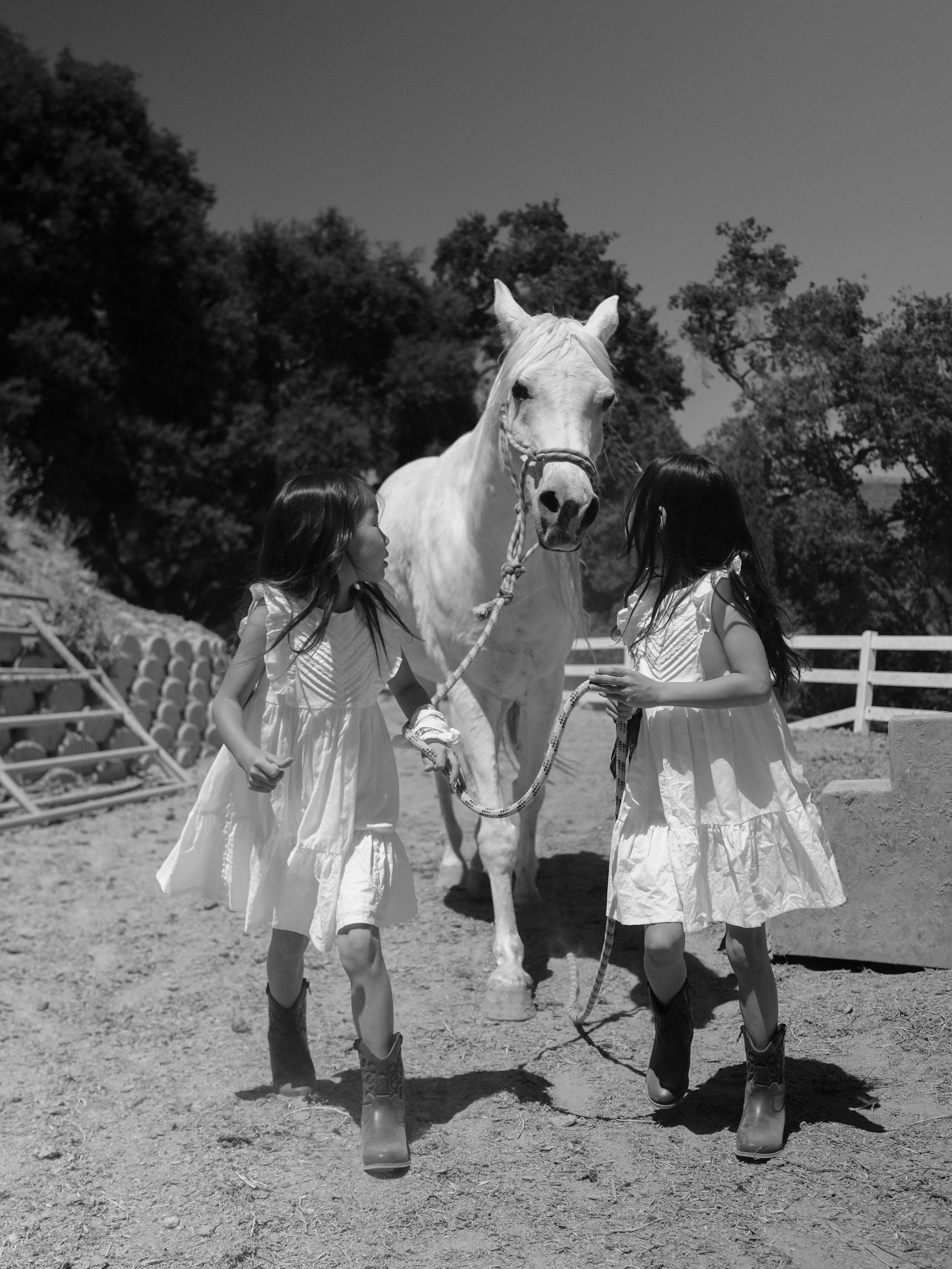 Children with horses. Фотограф и видеограф в США (и по всему миру) — Татьяна Иванова