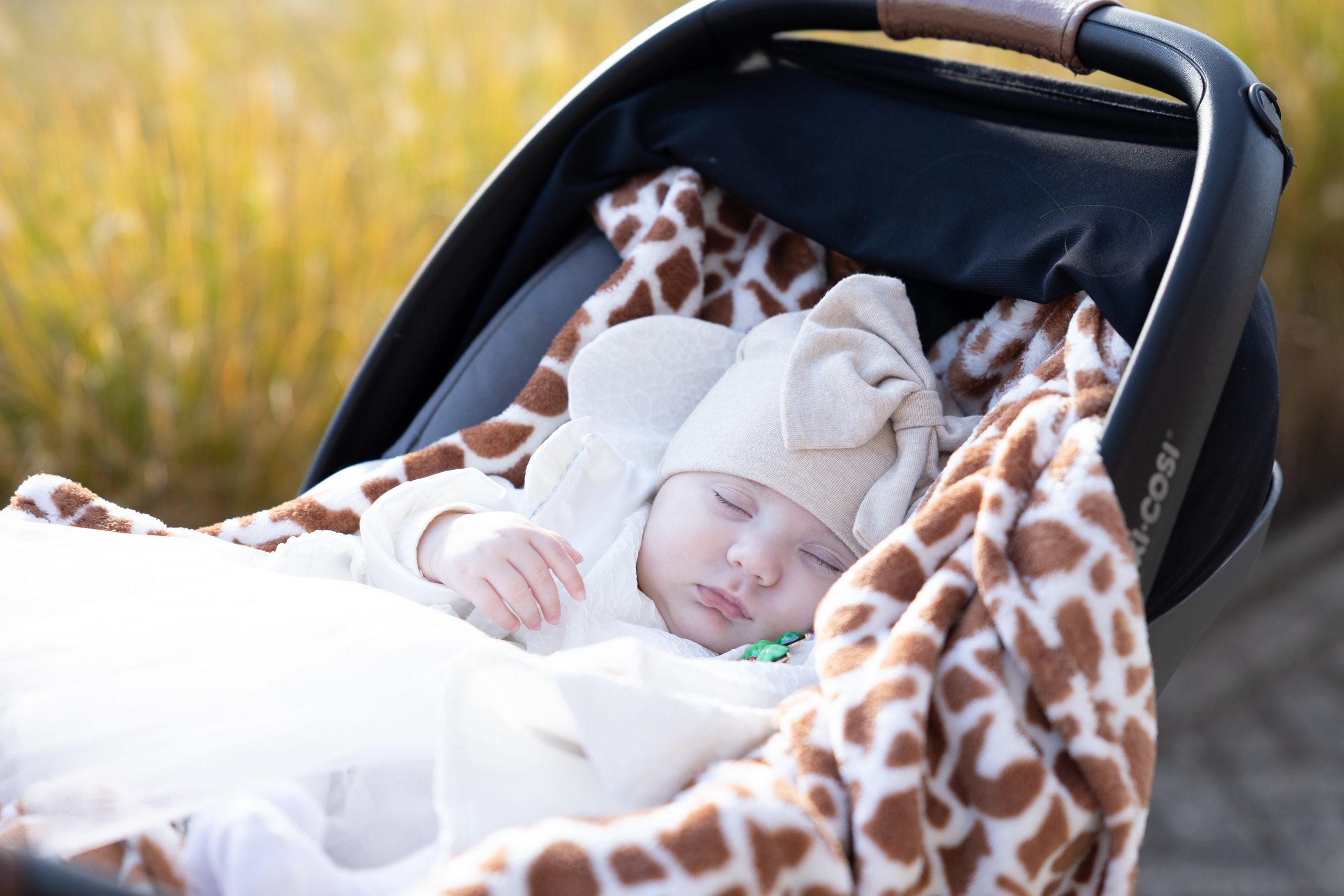 Botez. Portrait and Family Photographer in Netherlands