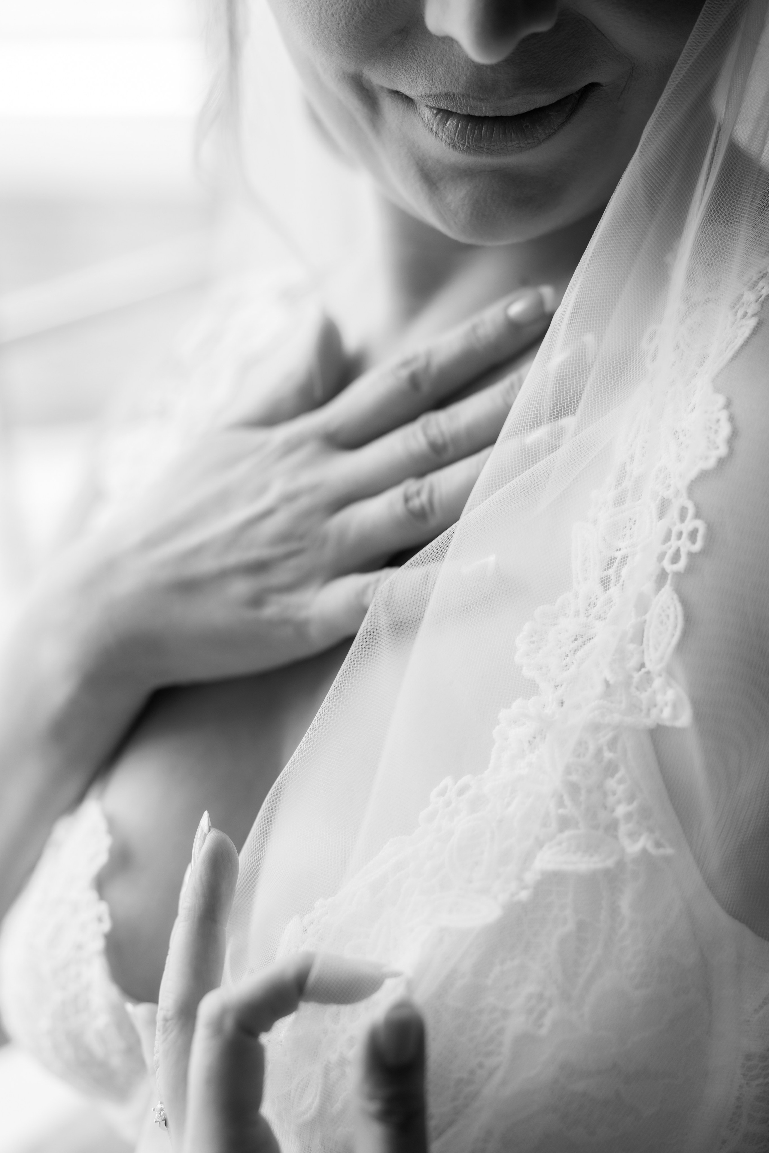 Mandana & Babak. Wedding Photo & Video