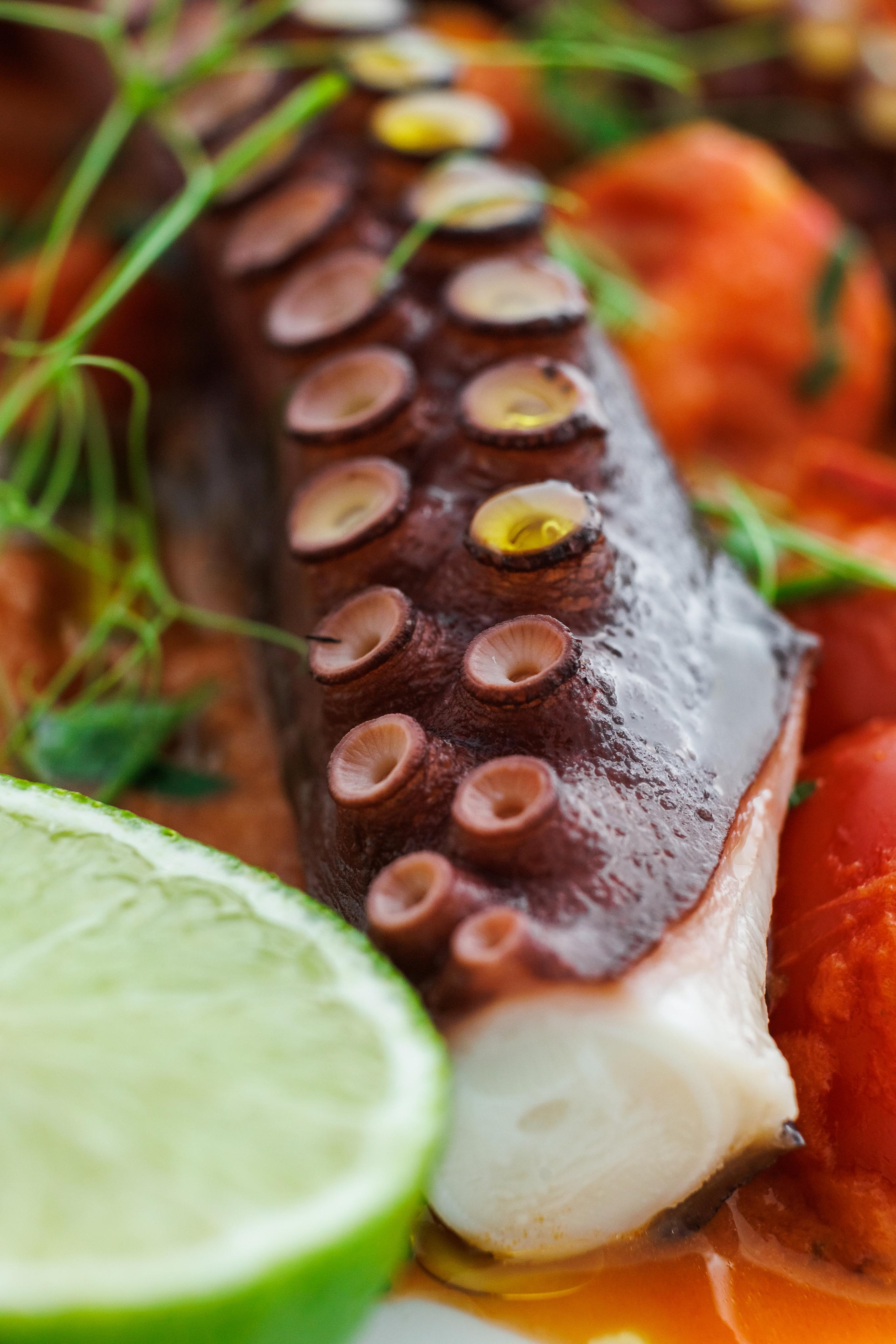 Food photo. Фотограф Ирина Йотова