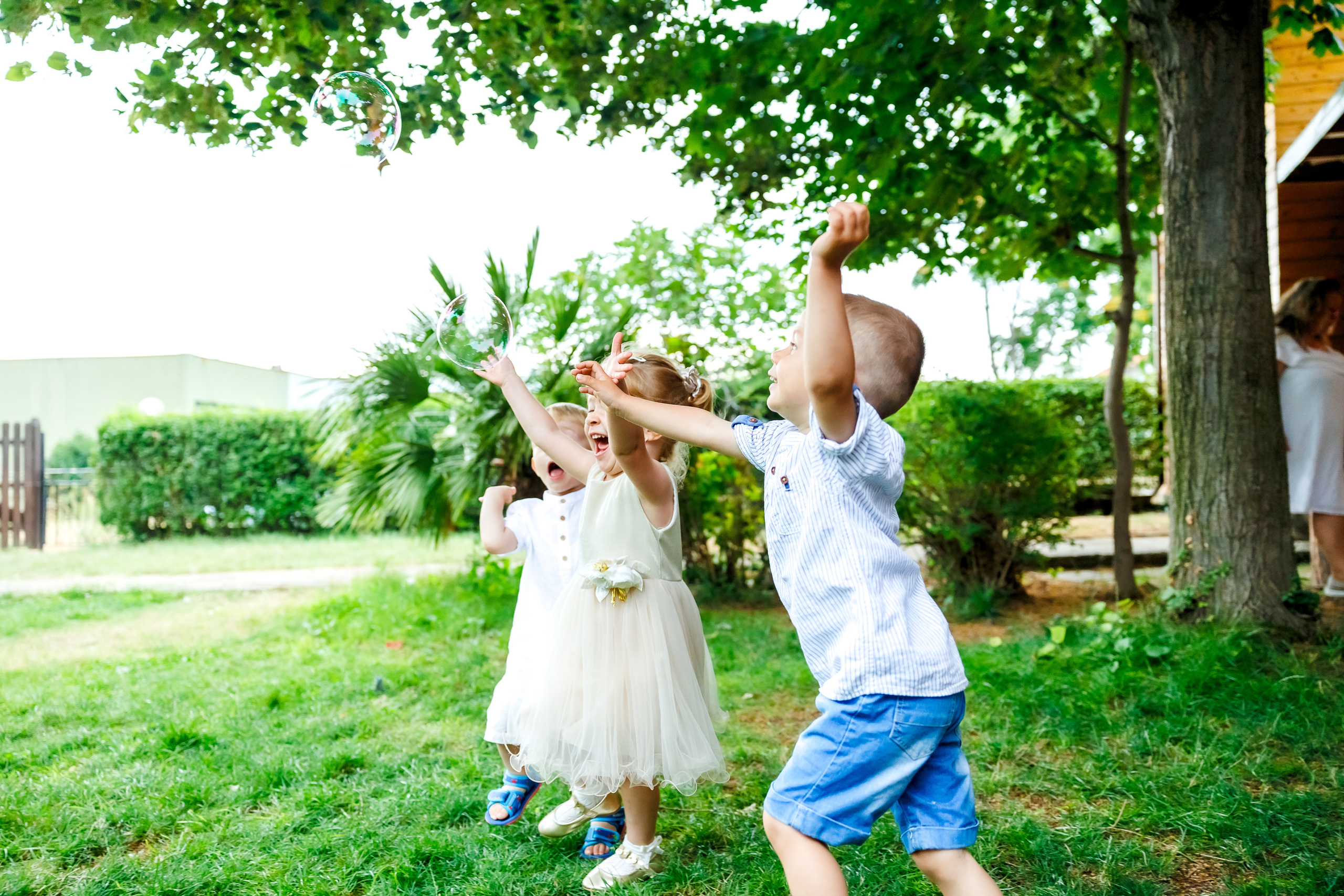 Честит Рожден Ден!. Фотограф Ирина Йотова