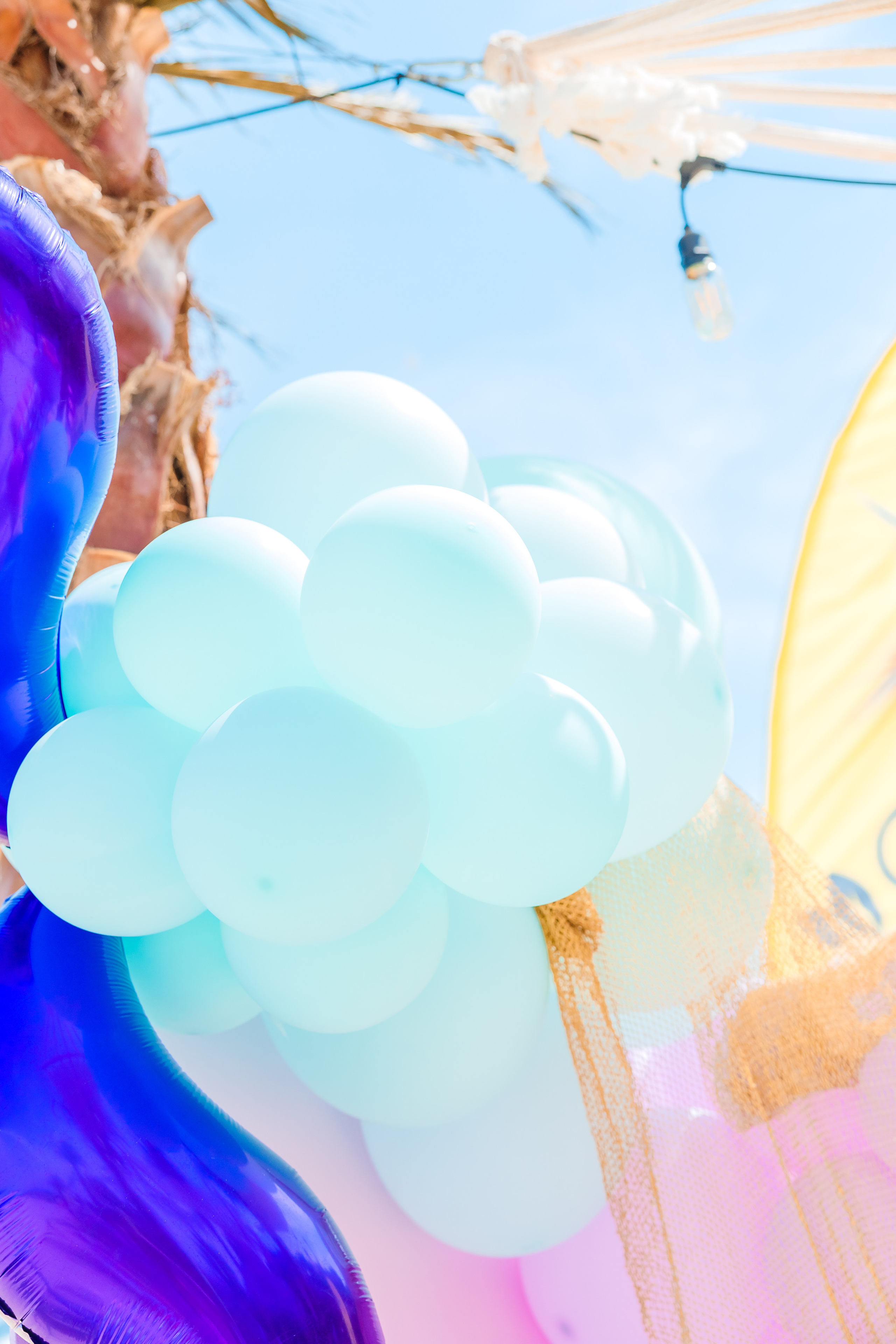 Честит Рожден Ден!. Фотограф Ирина Йотова