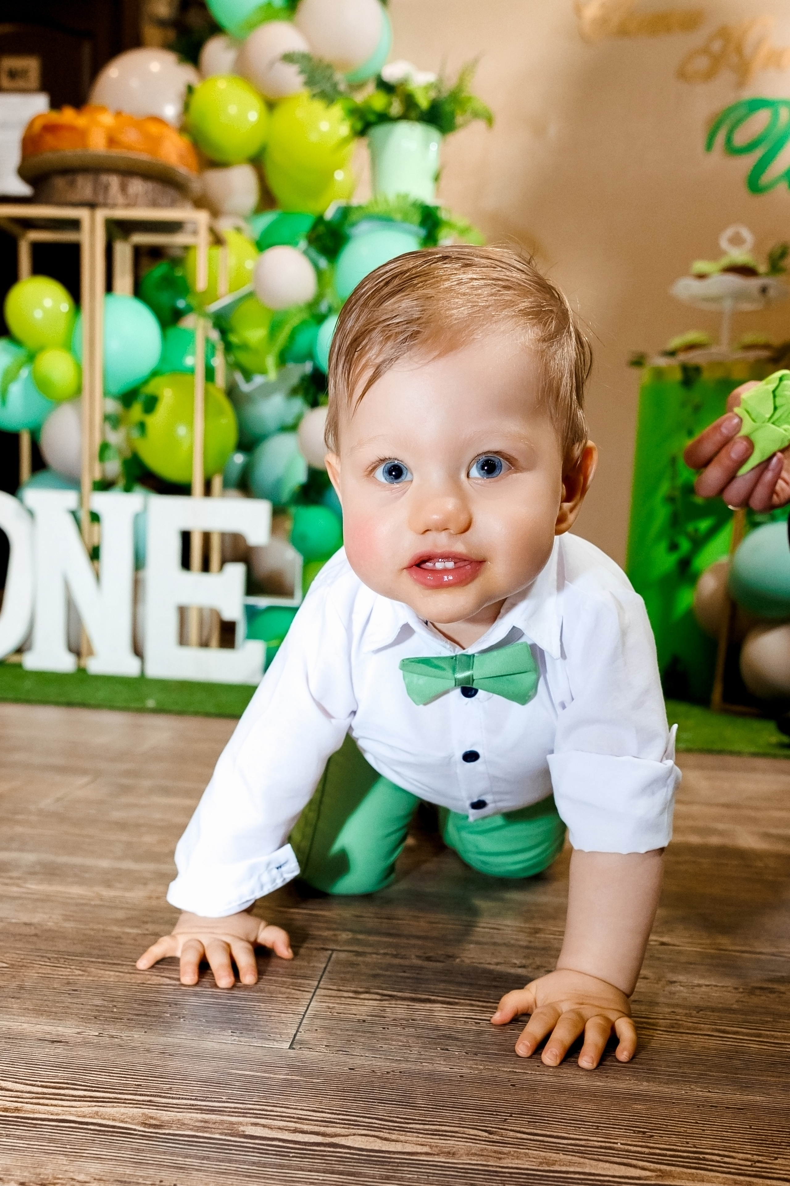 Честит Рожден Ден!. Фотограф Ирина Йотова