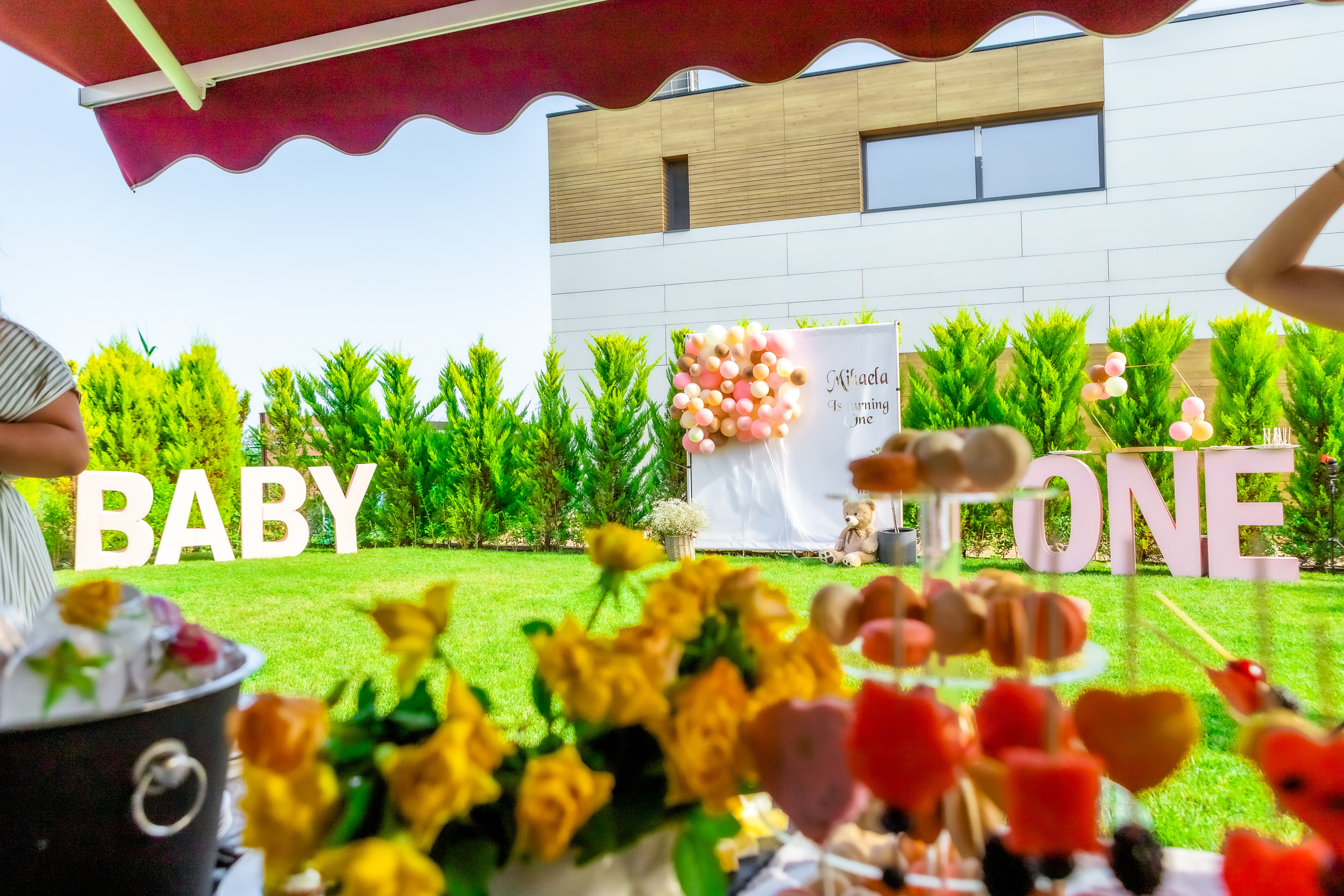 Честит Рожден Ден. Фотограф Ирина Йотова