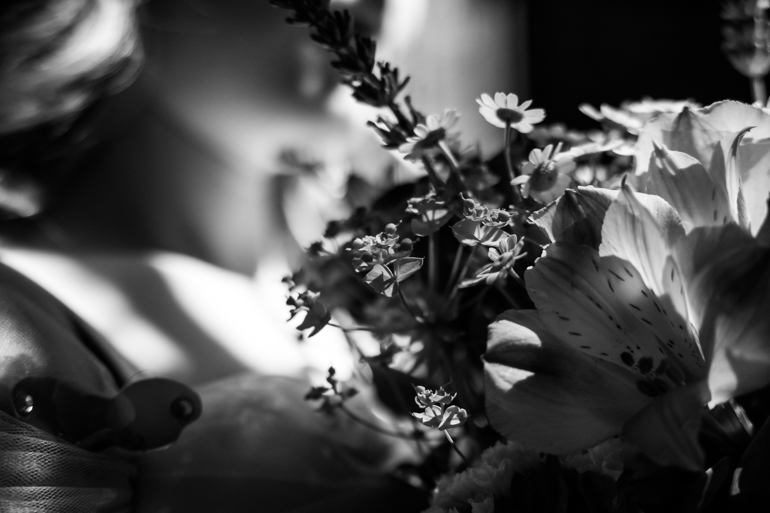 Св.Климент Охридски Бургас. Фотограф Ирина Йотова