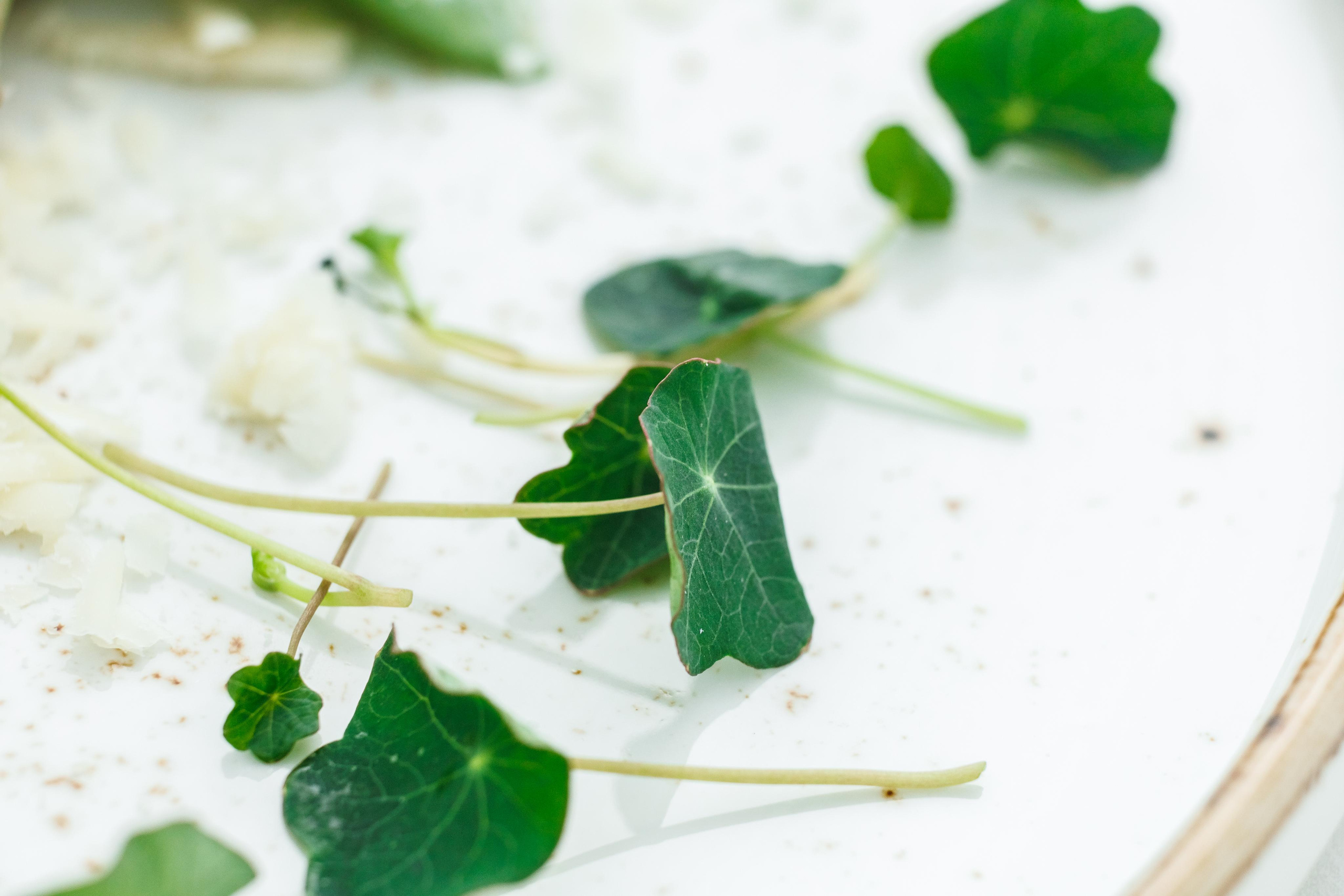 Food photo. Фотограф Ирина Йотова