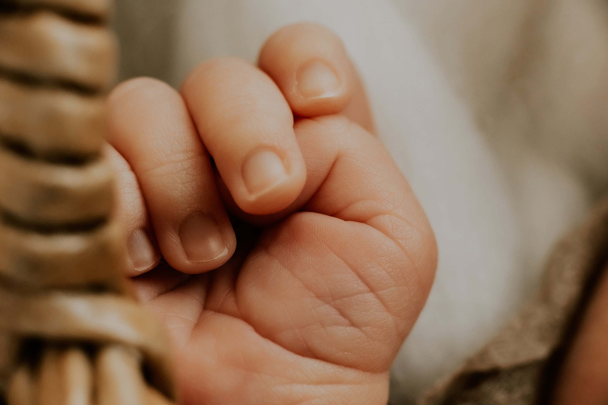 Newborn Boy. Фотограф Ирина Йотова
