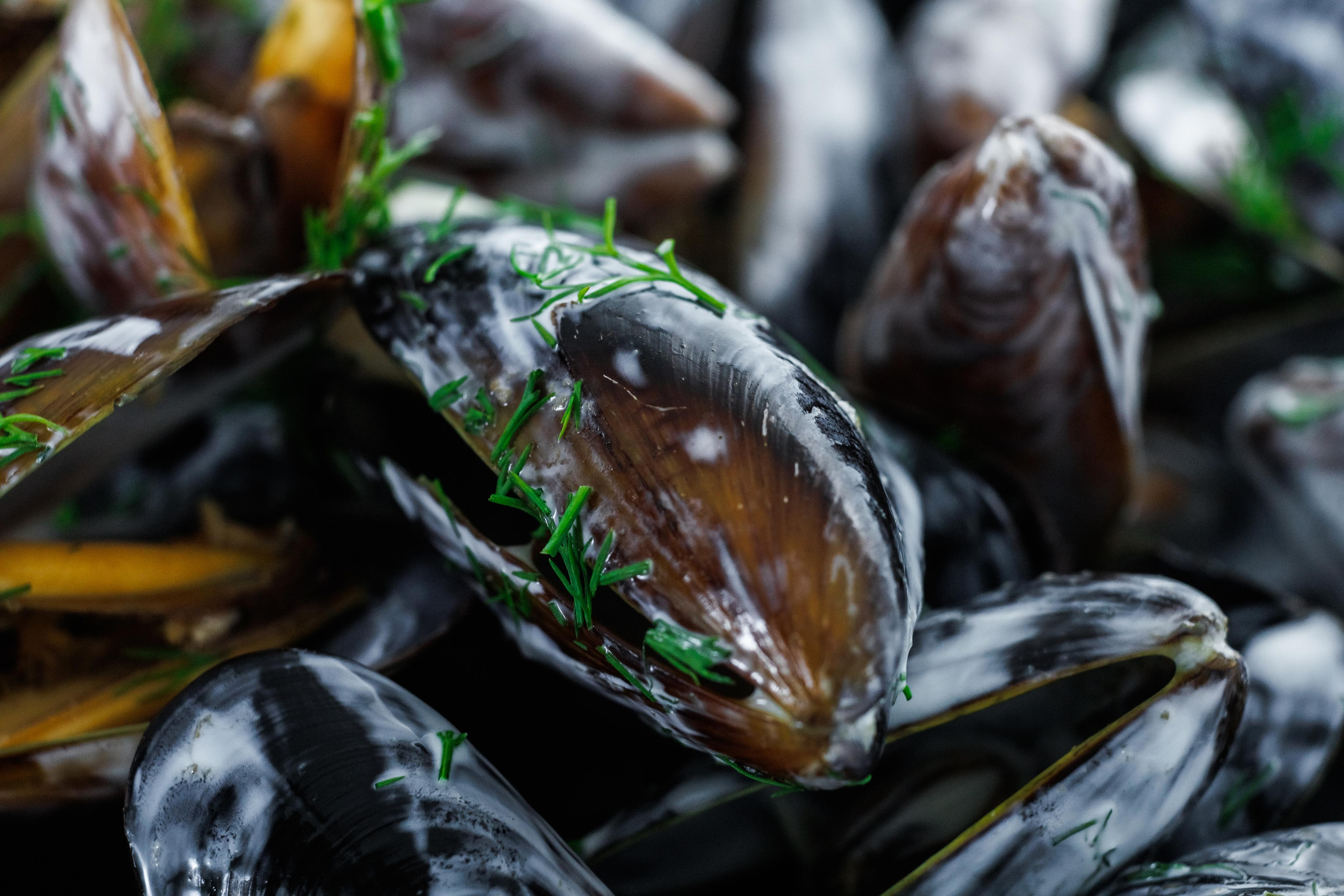 Food photo. Фотограф Ирина Йотова