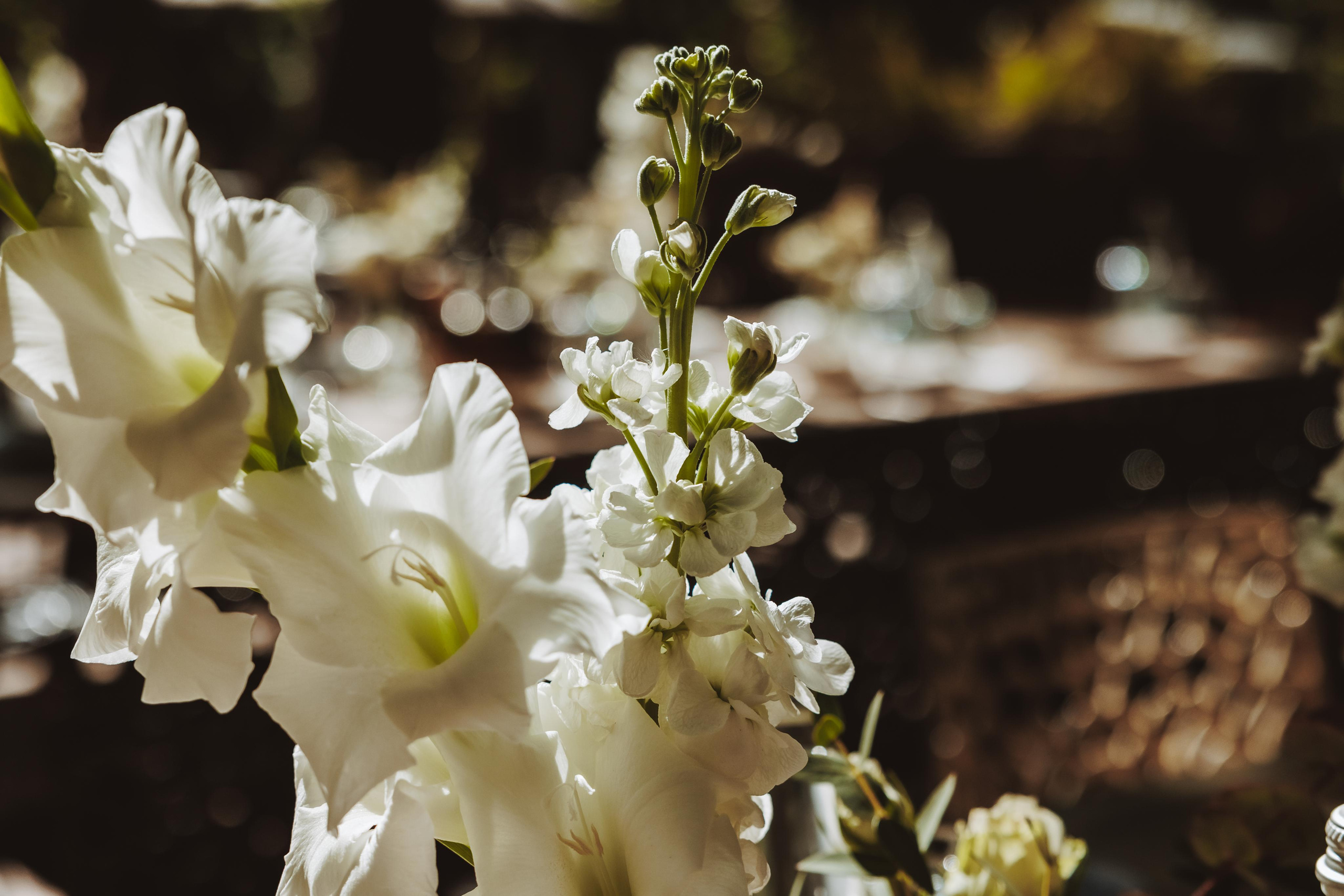 Свето Кръщение. Фотограф Ирина Йотова