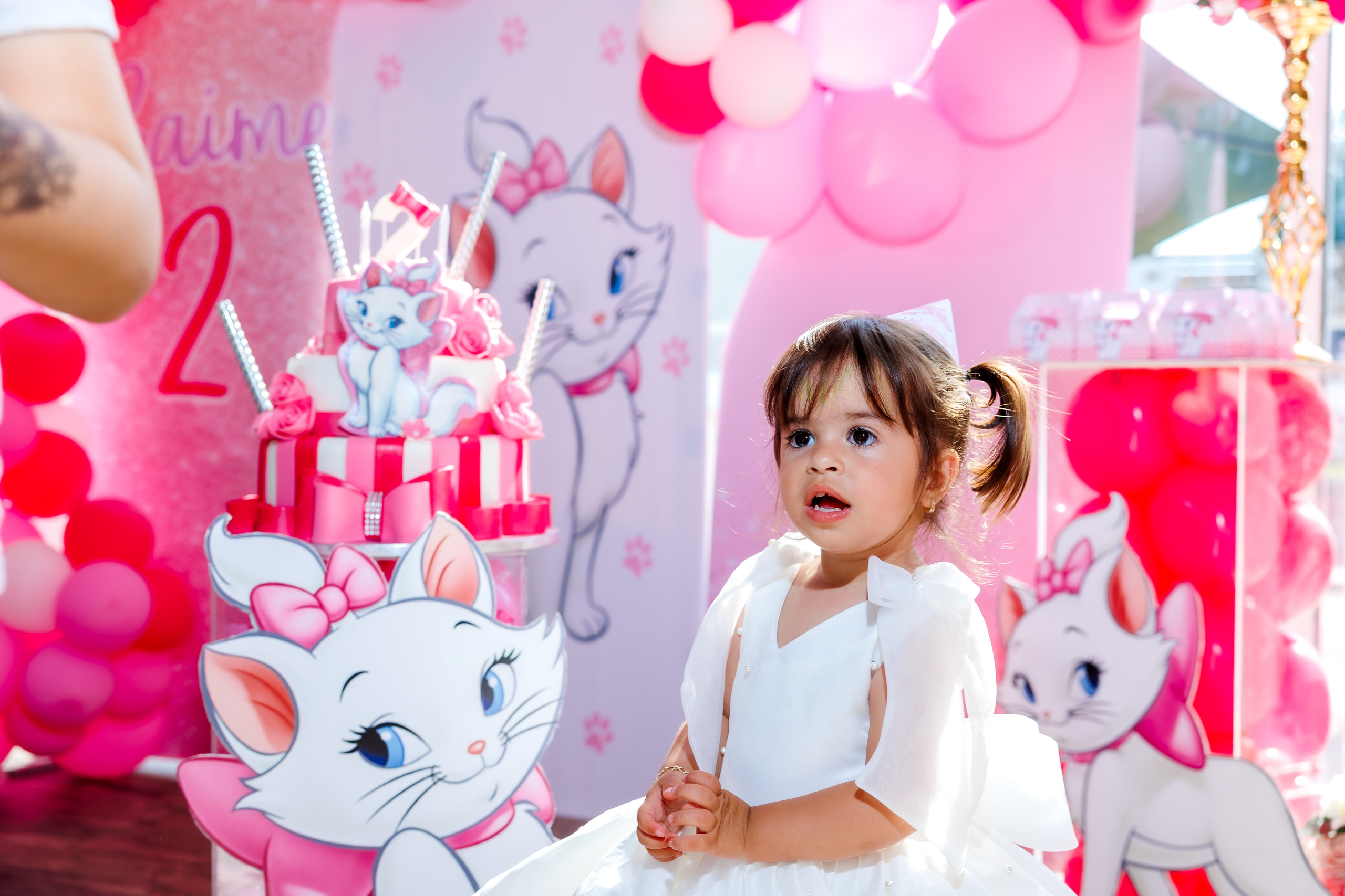 Честит Рожден Ден!. Фотограф Ирина Йотова