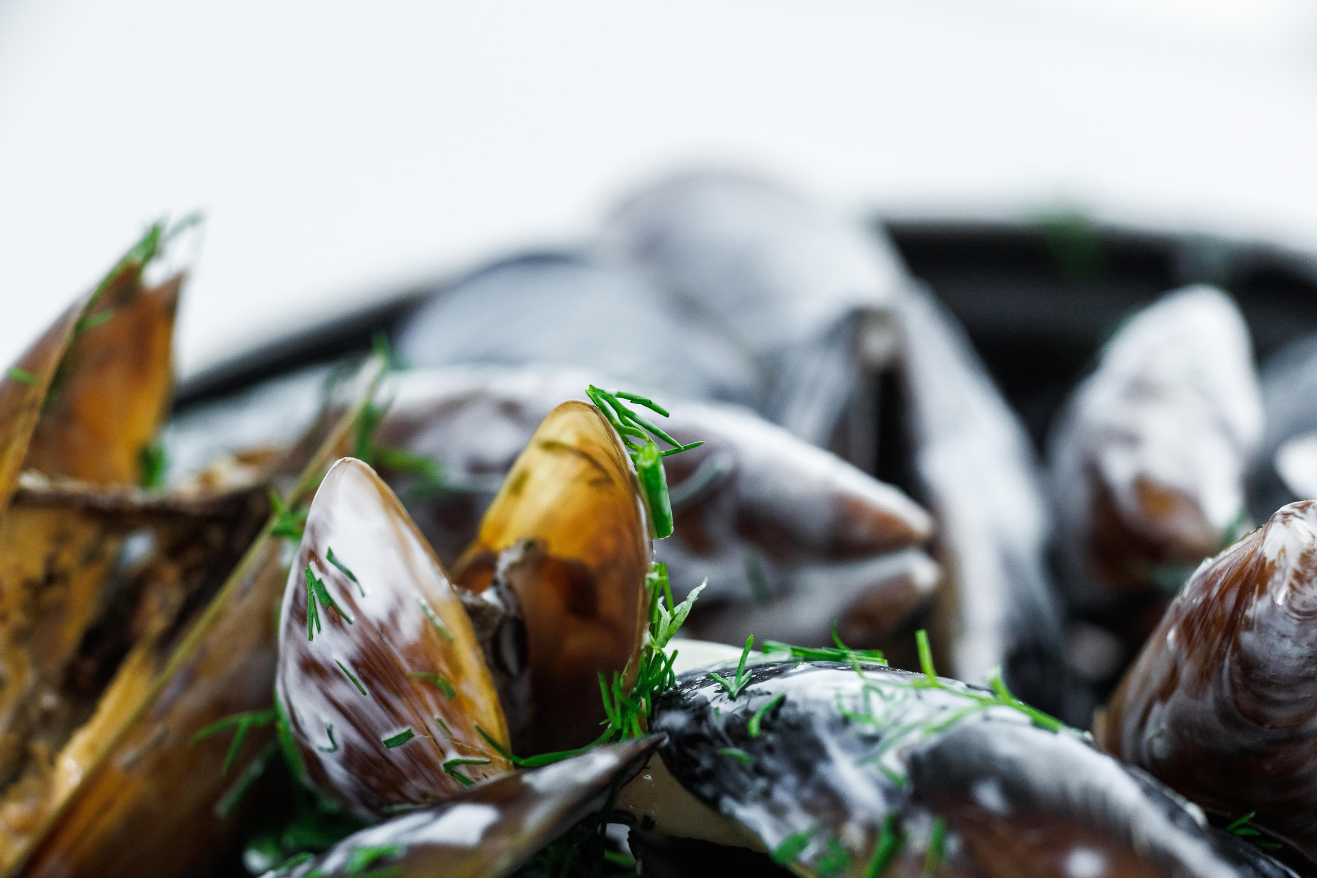 Food photo. Фотограф Ирина Йотова