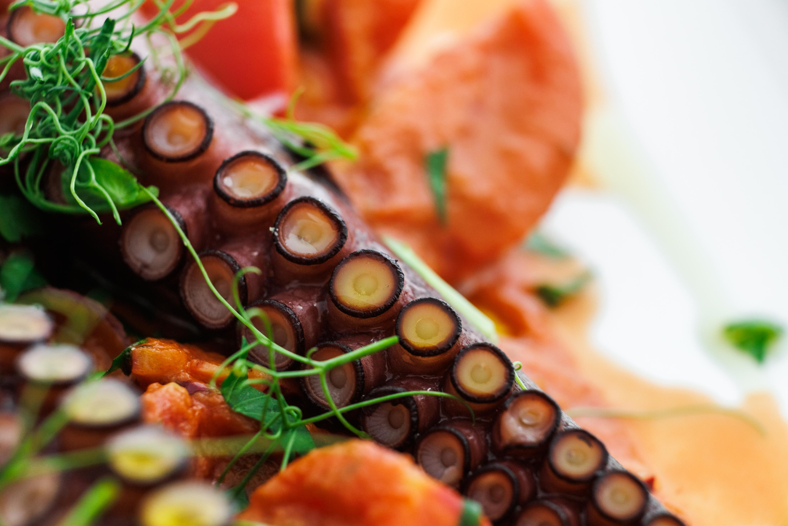 Food photo. Фотограф Ирина Йотова