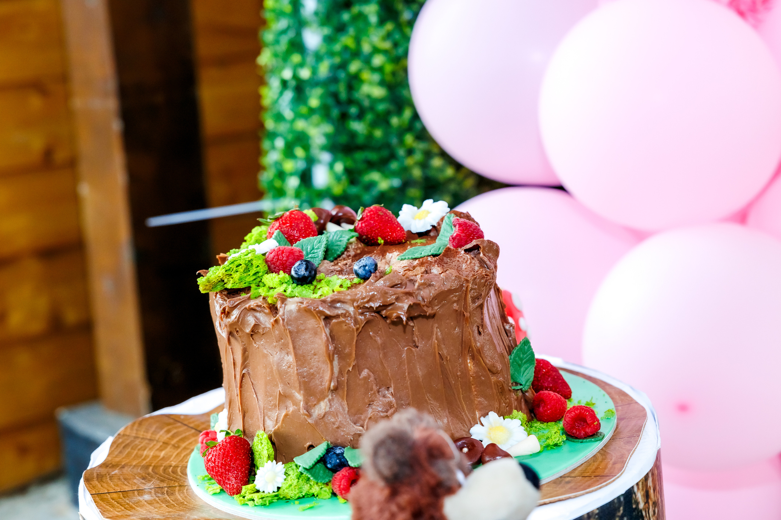 Честит Рожден Ден!. Фотограф Ирина Йотова