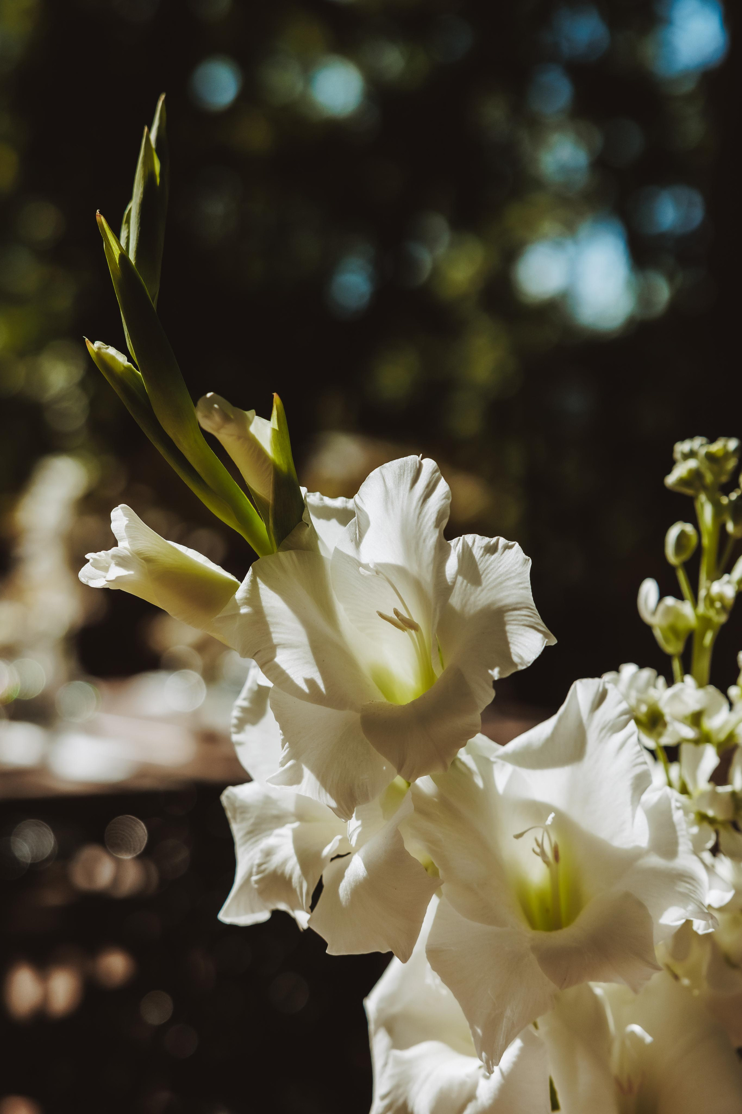 Свето Кръщение. Фотограф Ирина Йотова