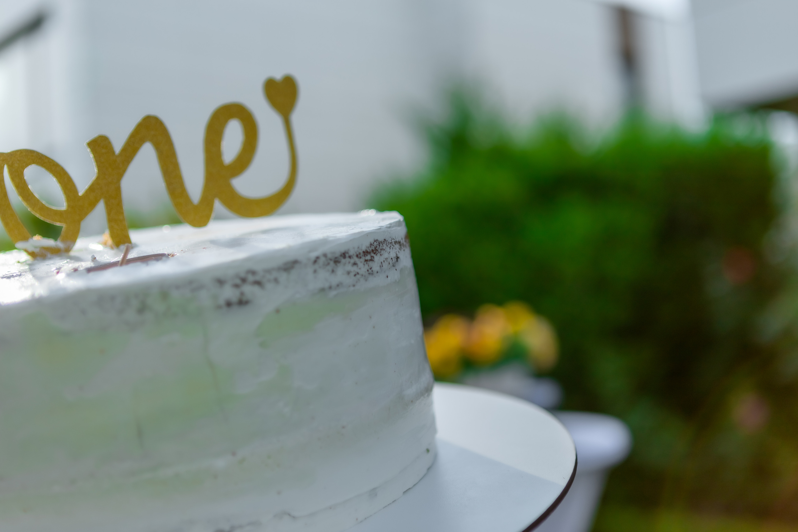 Честит Рожден Ден. Фотограф Ирина Йотова