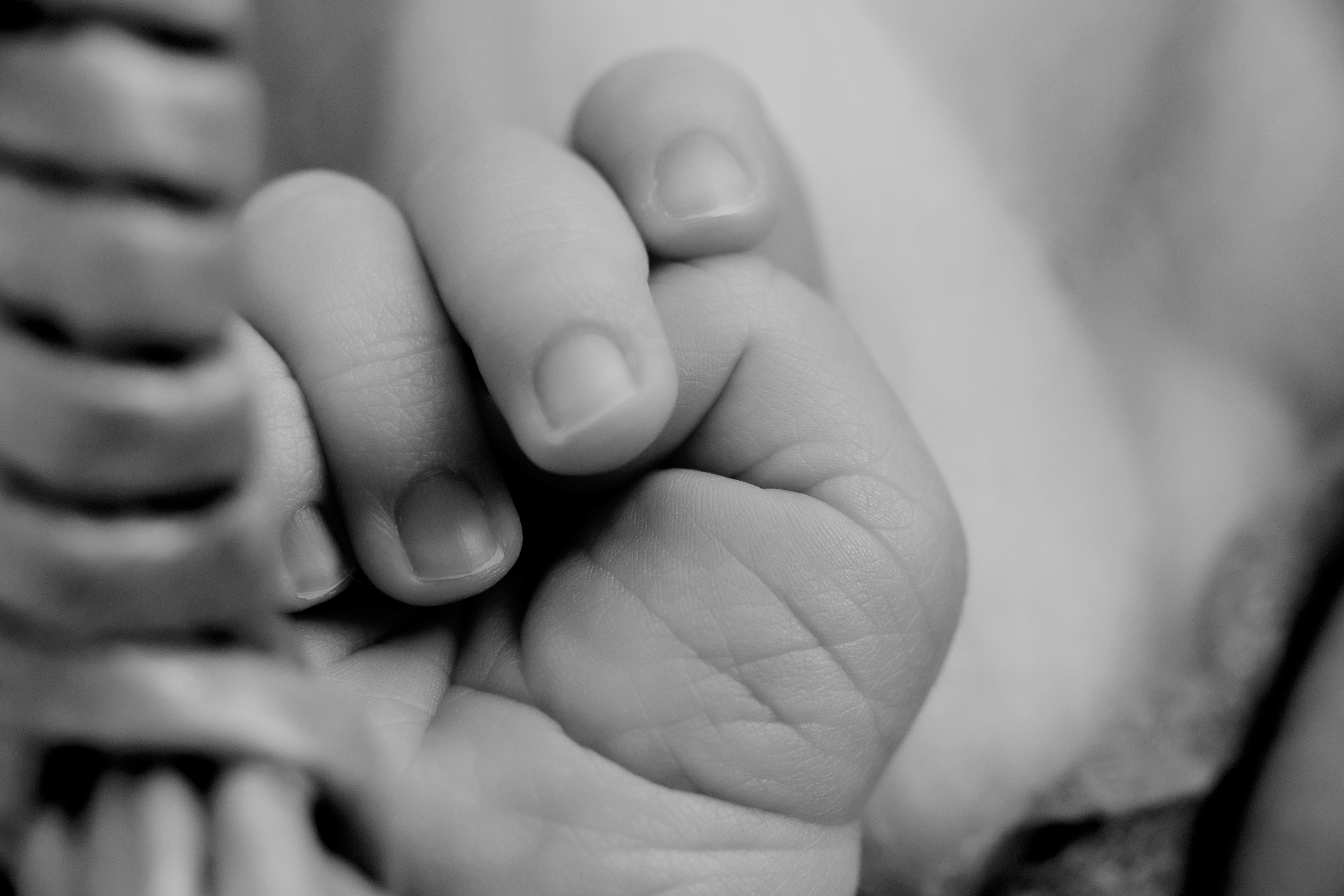 Newborn Boy. Фотограф Ирина Йотова