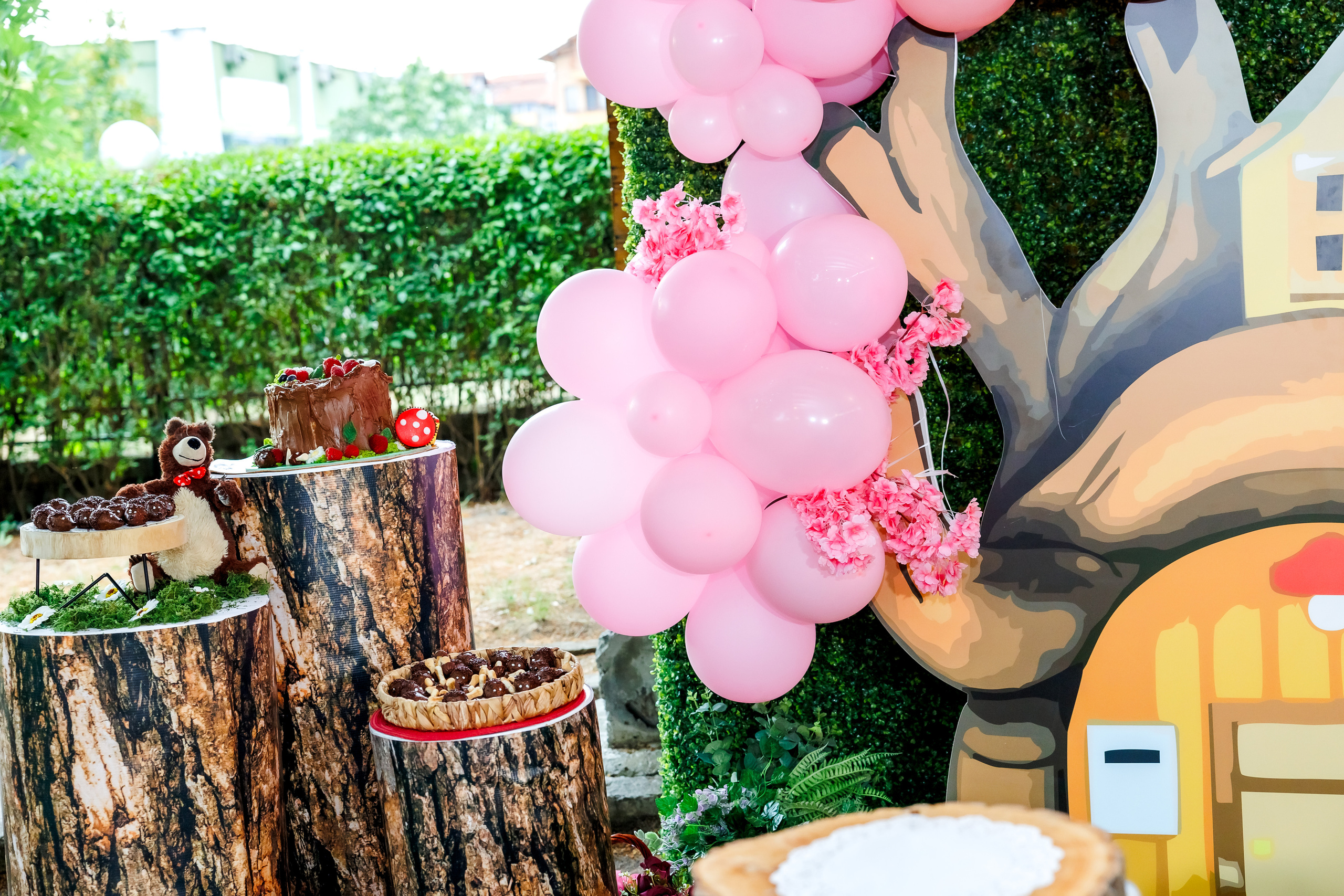 Честит Рожден Ден!. Фотограф Ирина Йотова