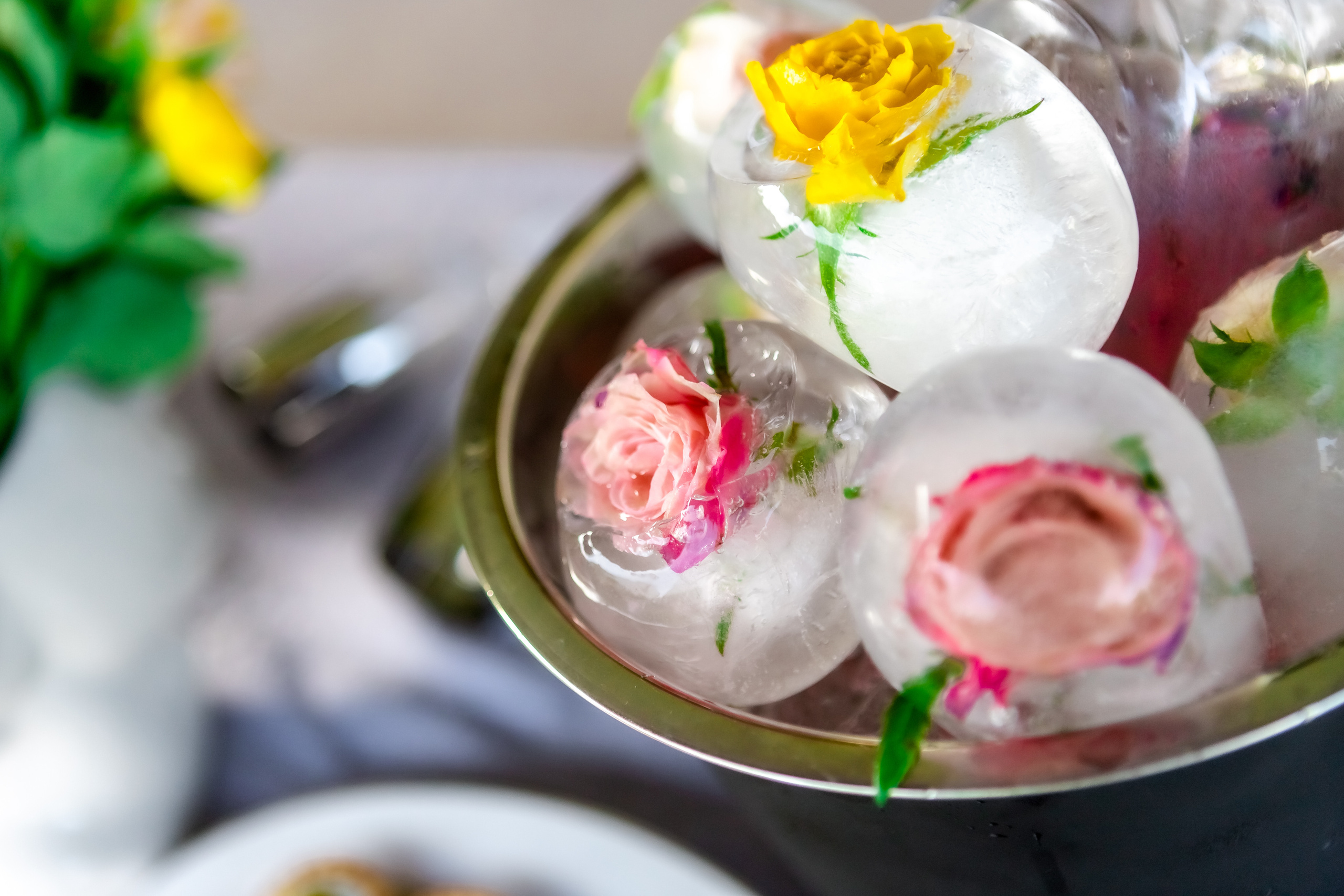 Честит Рожден Ден. Фотограф Ирина Йотова