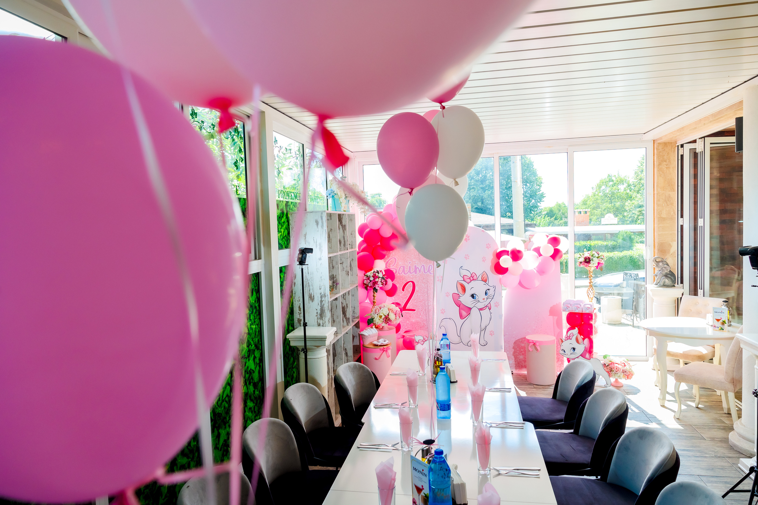 Честит Рожден Ден!. Фотограф Ирина Йотова