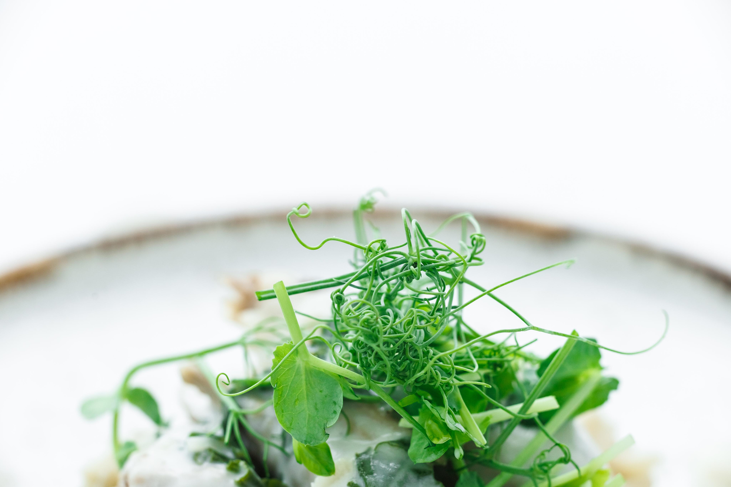 Food photo. Фотограф Ирина Йотова