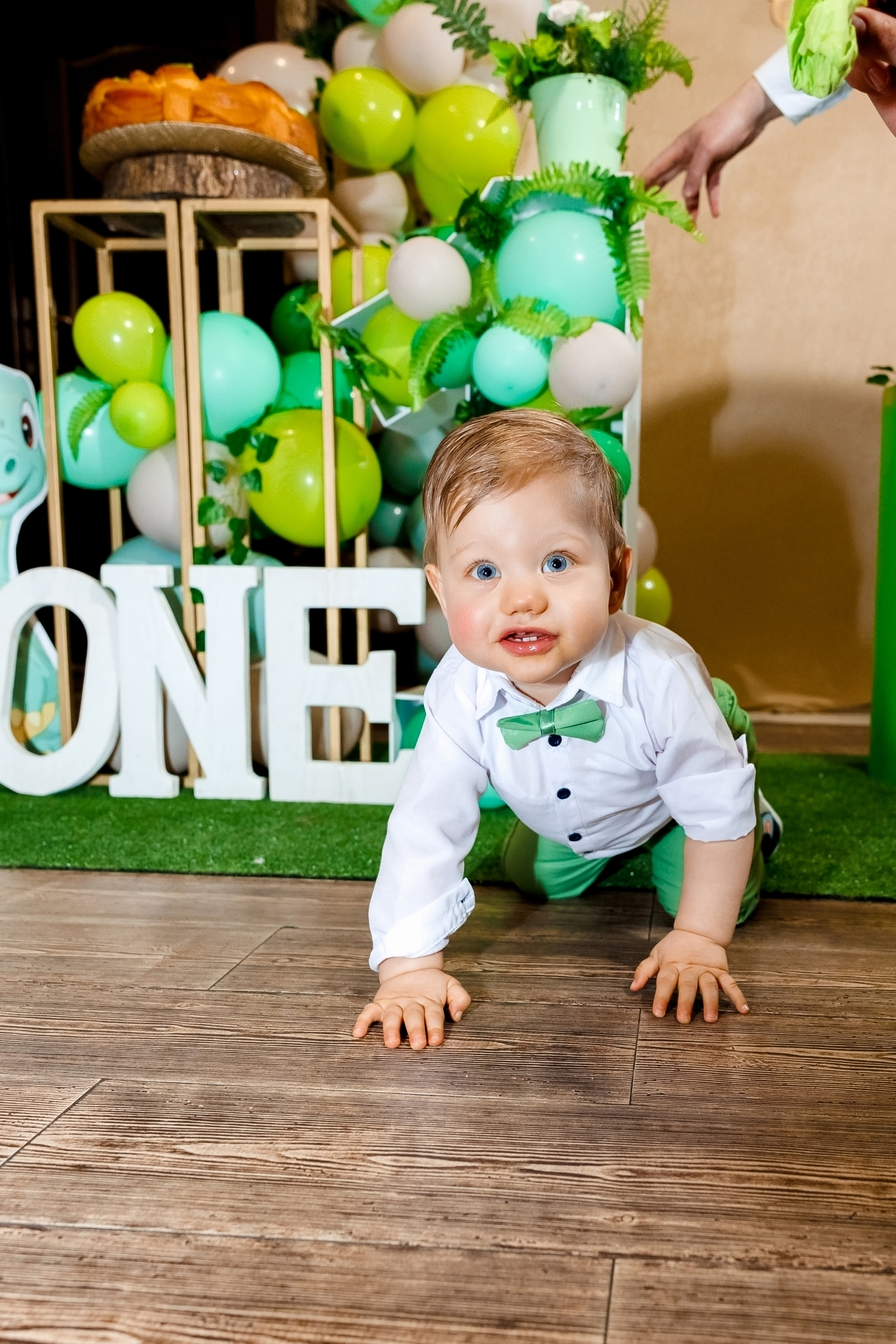 Честит Рожден Ден!. Фотограф Ирина Йотова