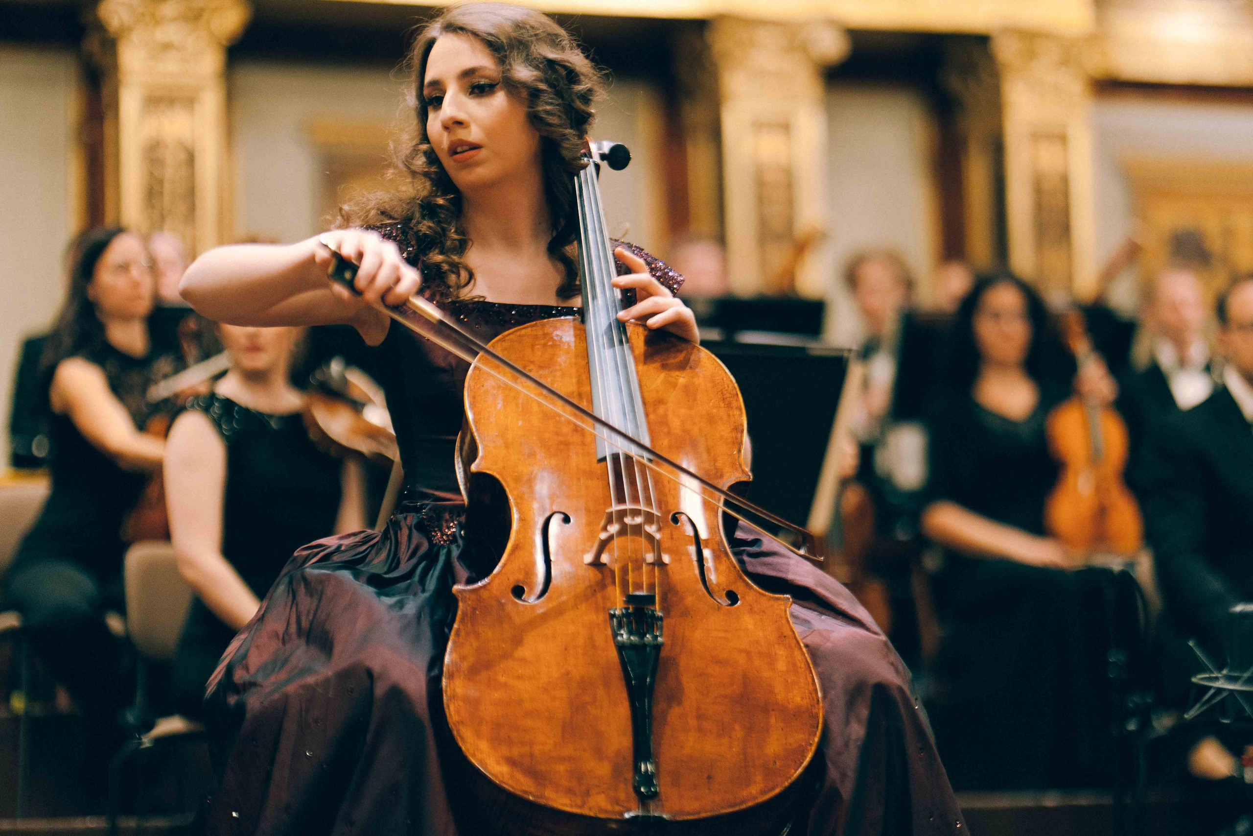 MUSIKVEREIN (VIENNA). Wedding&Event photographer Ismail Rzayev in Baku
