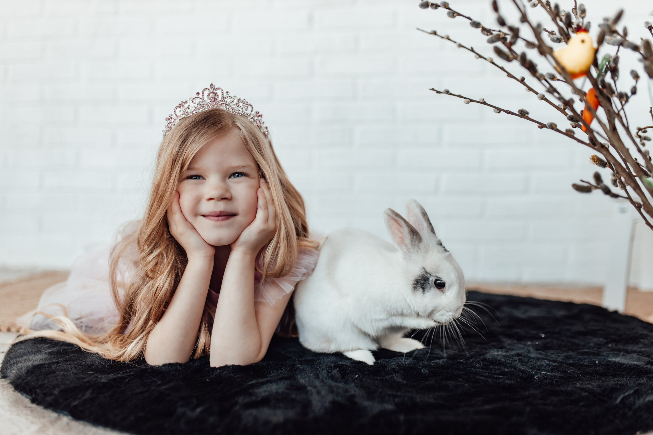 Zaķīši un kaķīši