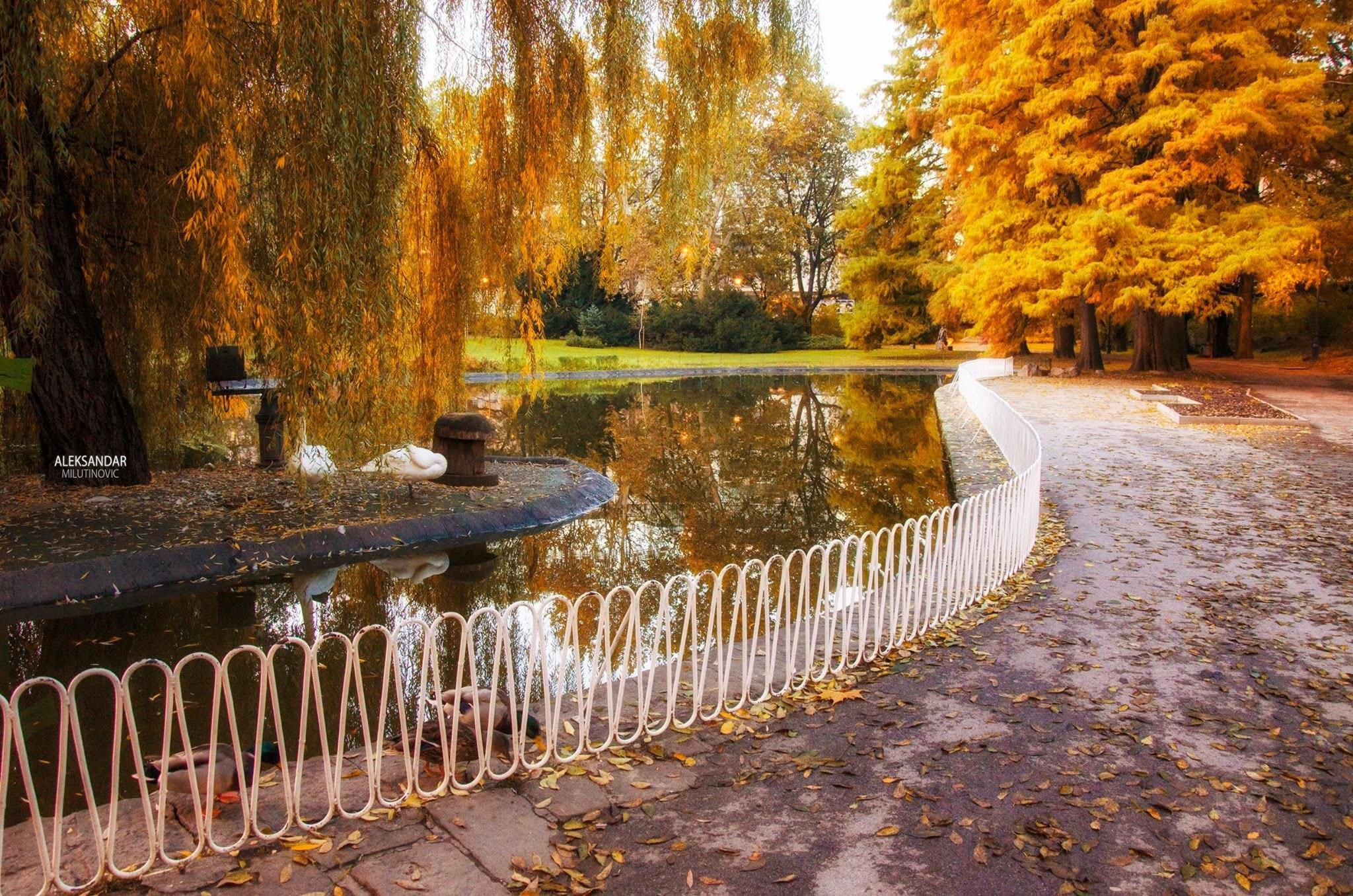 Novi Sad, tri prazna mesta pa svi ostali gradovi.❤️. Aleksandar Milutinović fotograf iz Srbije, Novog Sada