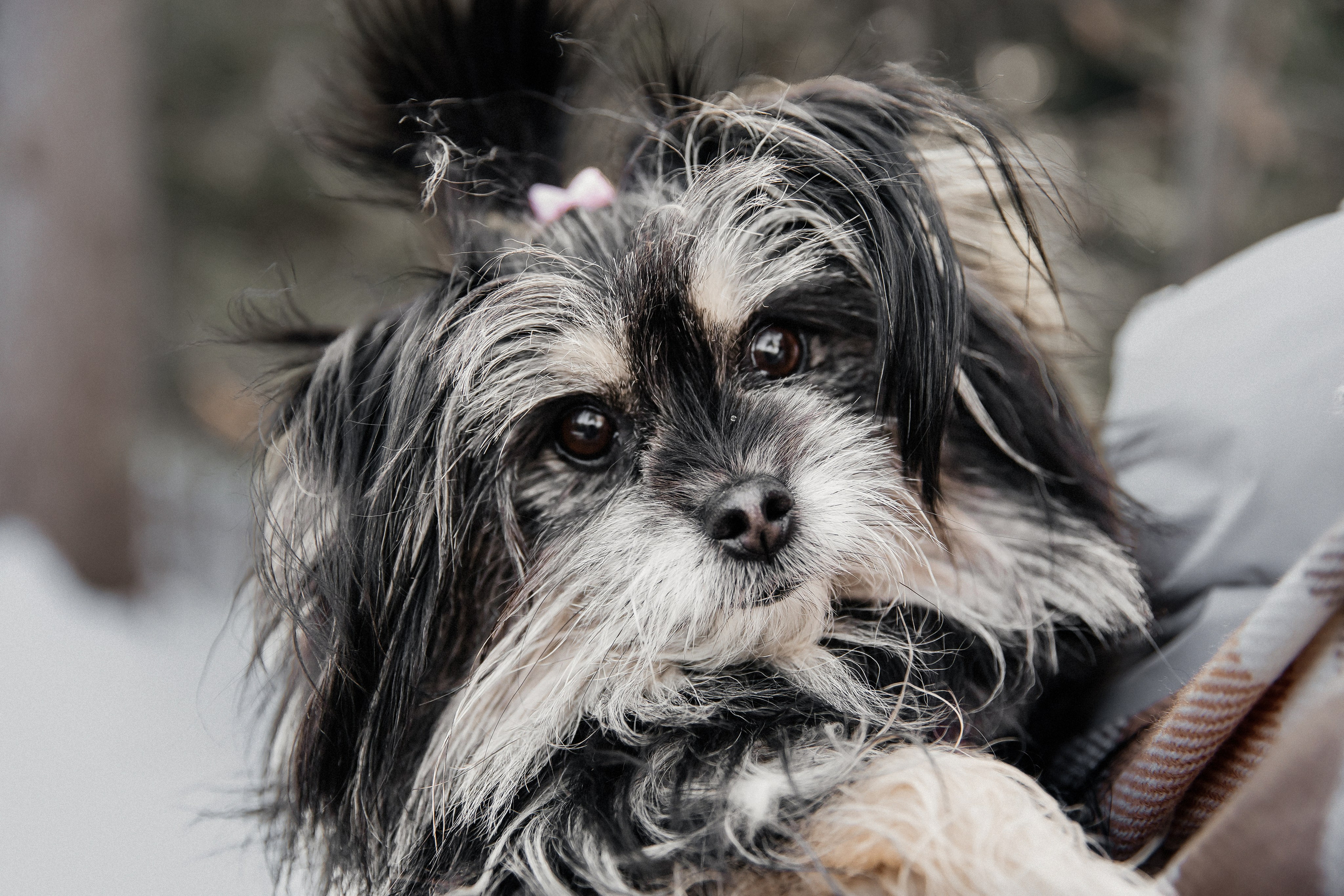 Tanya & Lola. Eugenia Guryev Photography | Portrait & Family Photographer in Moncton, New Brunswick