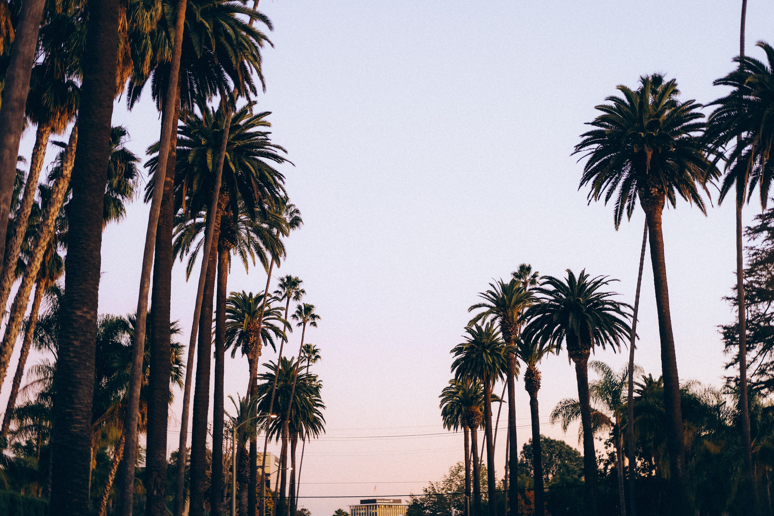 KRISTINA. TETIANA UDOVYCHENKO STREET & PORTRAIT PHOTOGRAPHER