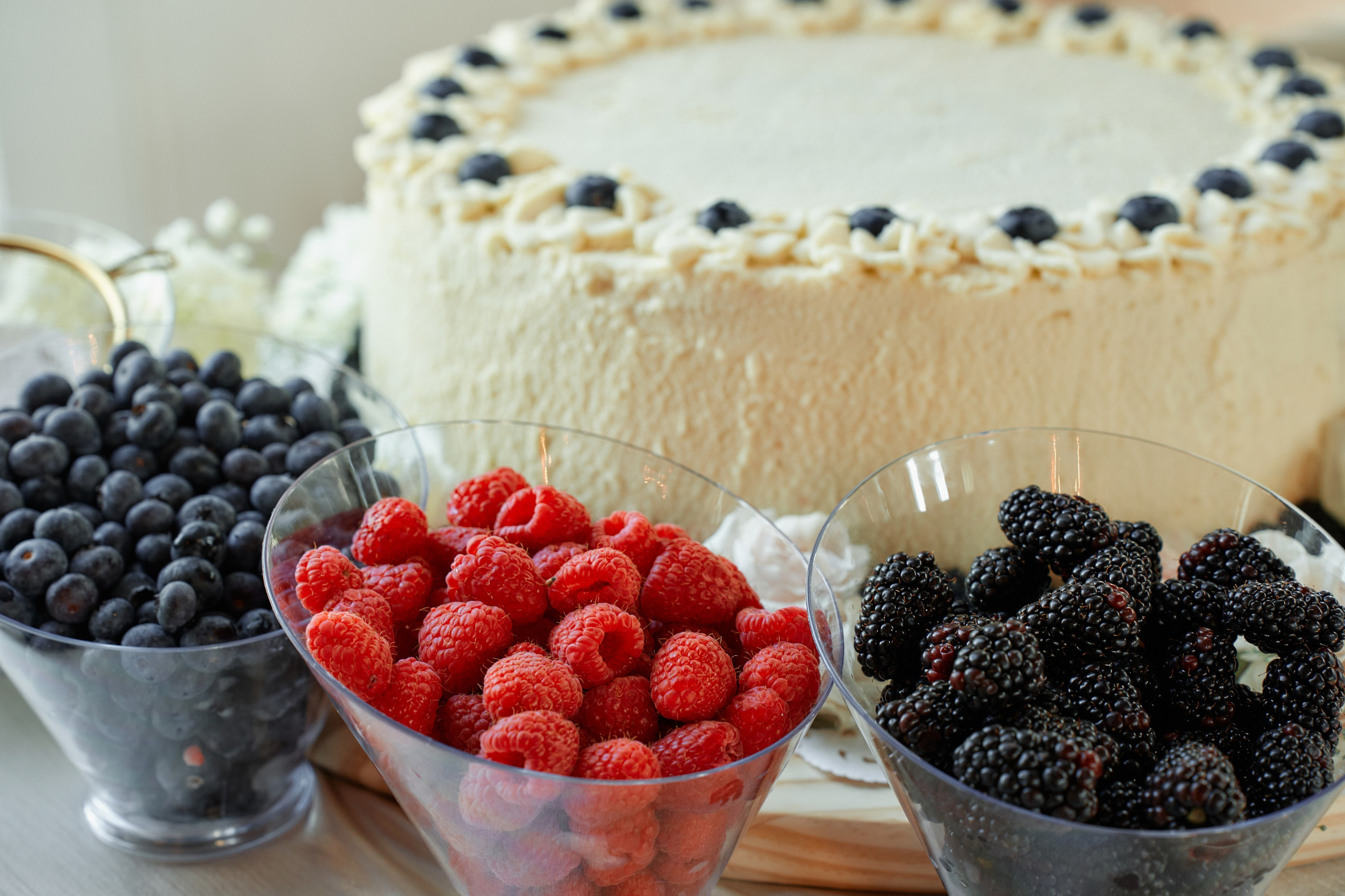 Victoria & Peyam. Professional Wedding and event photographer USA New York