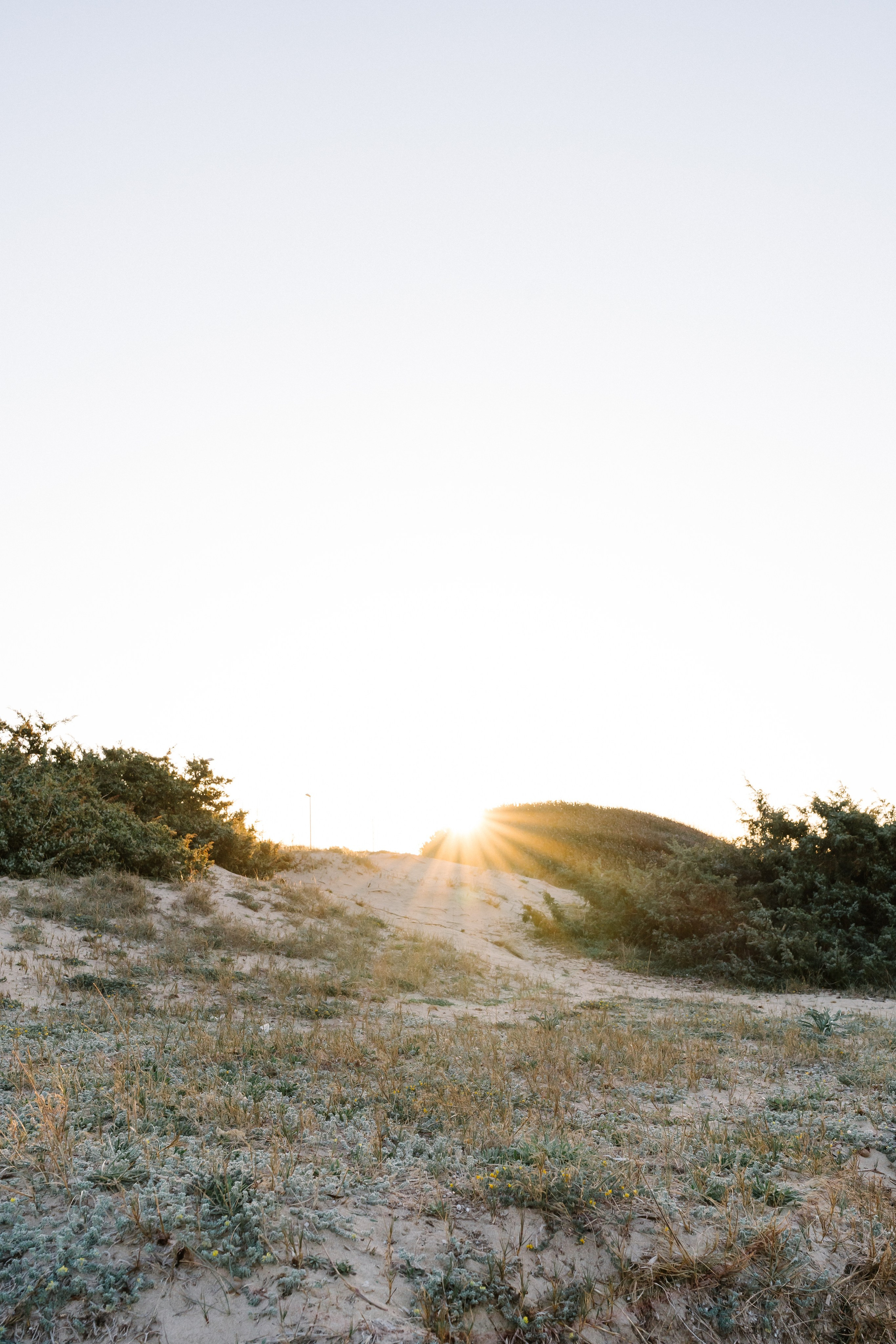 Alyssa&Sean in Apulia. Fotografa Rimini