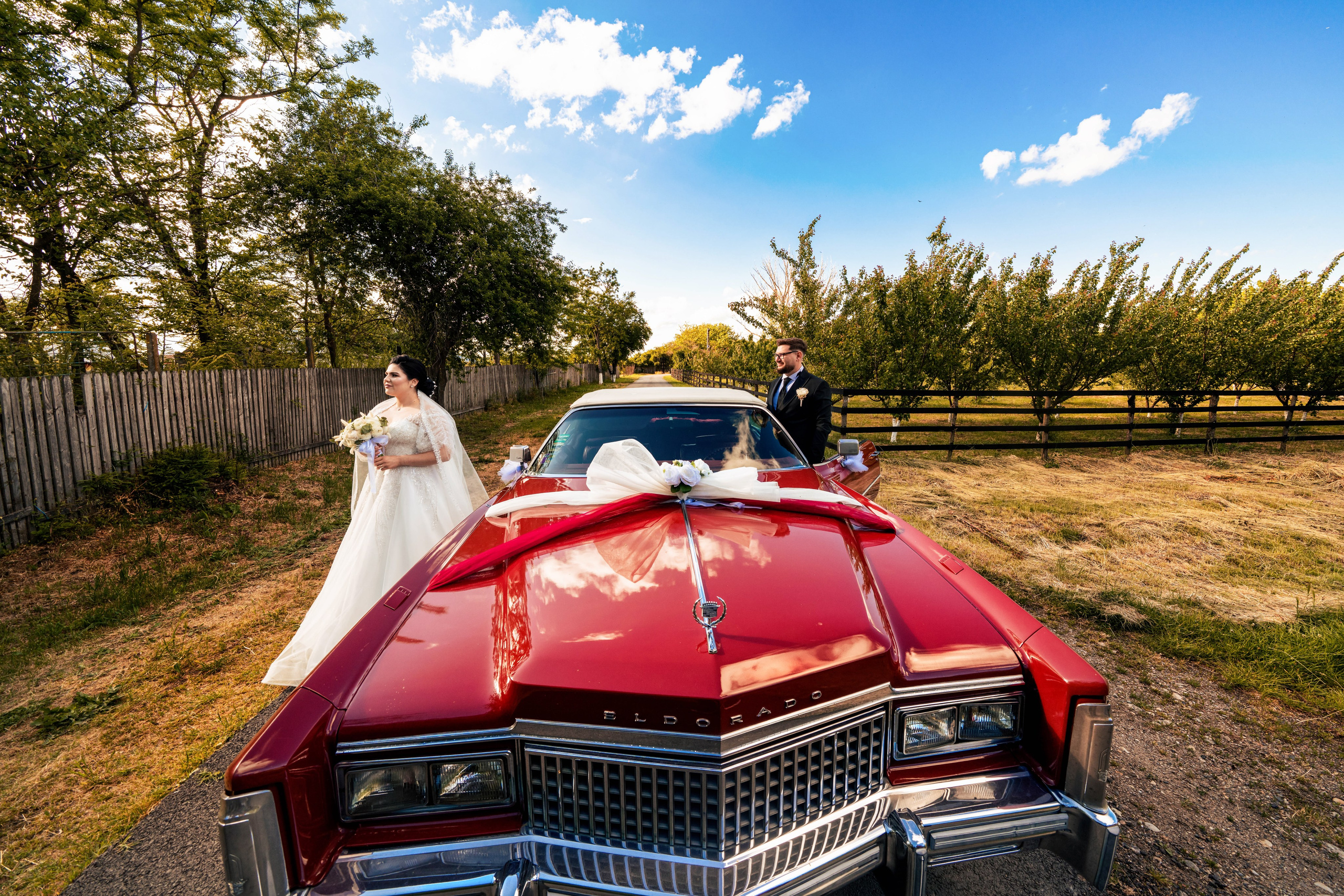 Madalina & Alex. Acasă