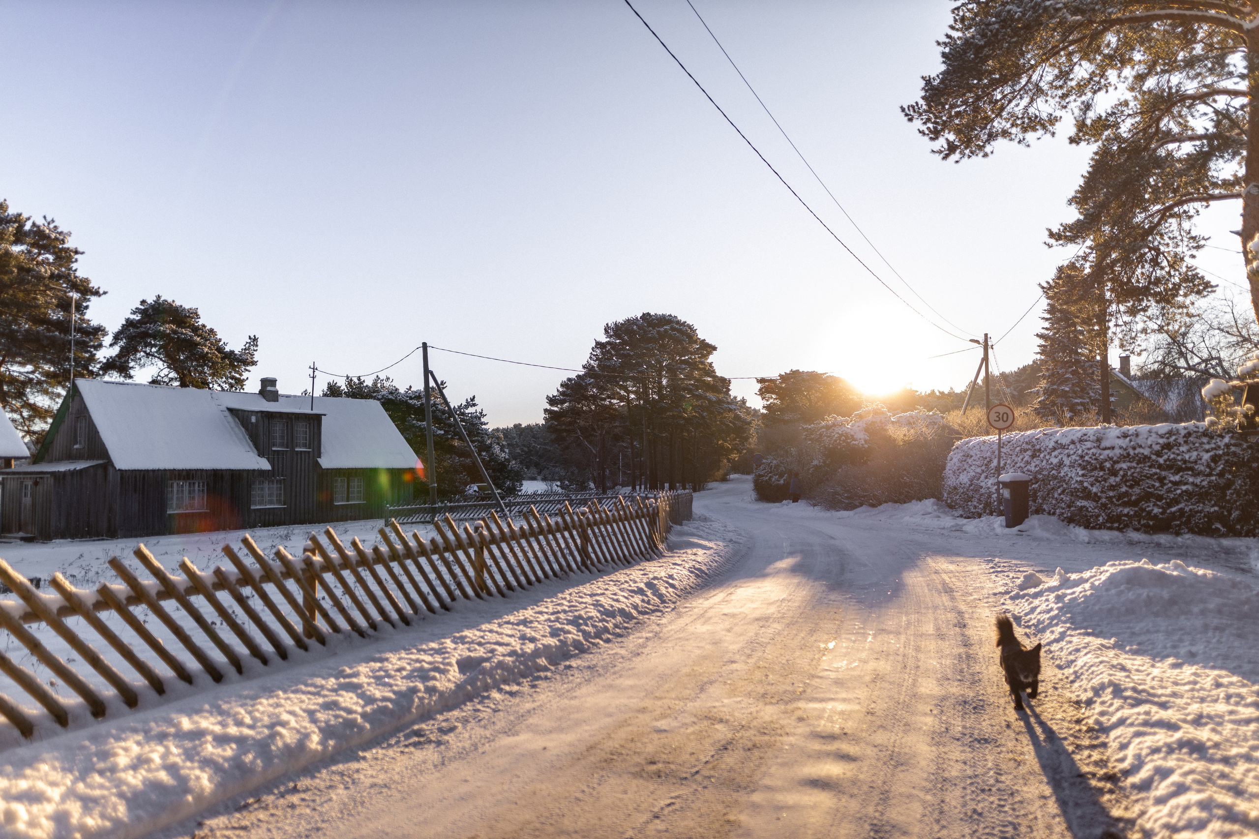 Street Photography. Portree- ja perefotograaf Anton Hansen Tallinnas, Eestis