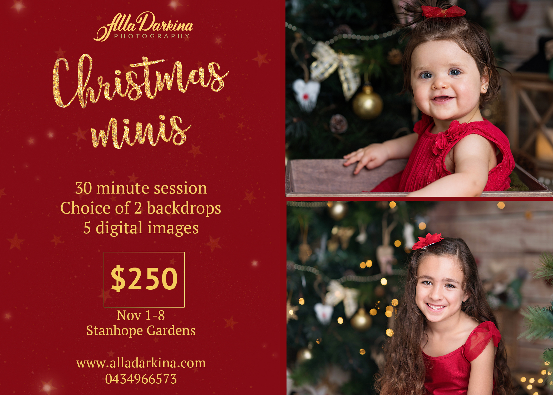 Christmas photo session. Newborn and family photographer. Hills District. Sydney