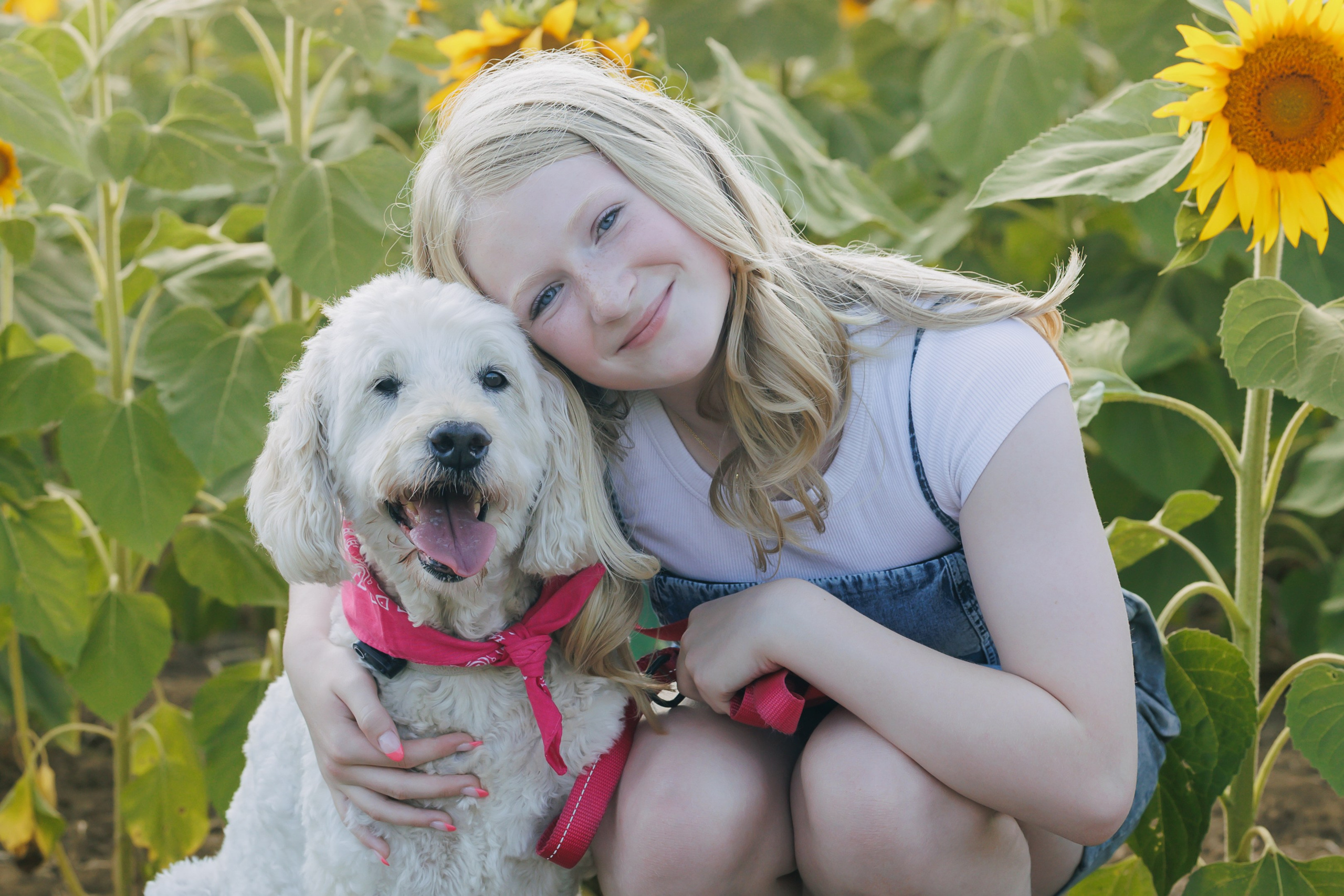 Families. Portrait and Personal Brand Photographer in Simcoe County, Ontario, Bobbi-jo Stuart