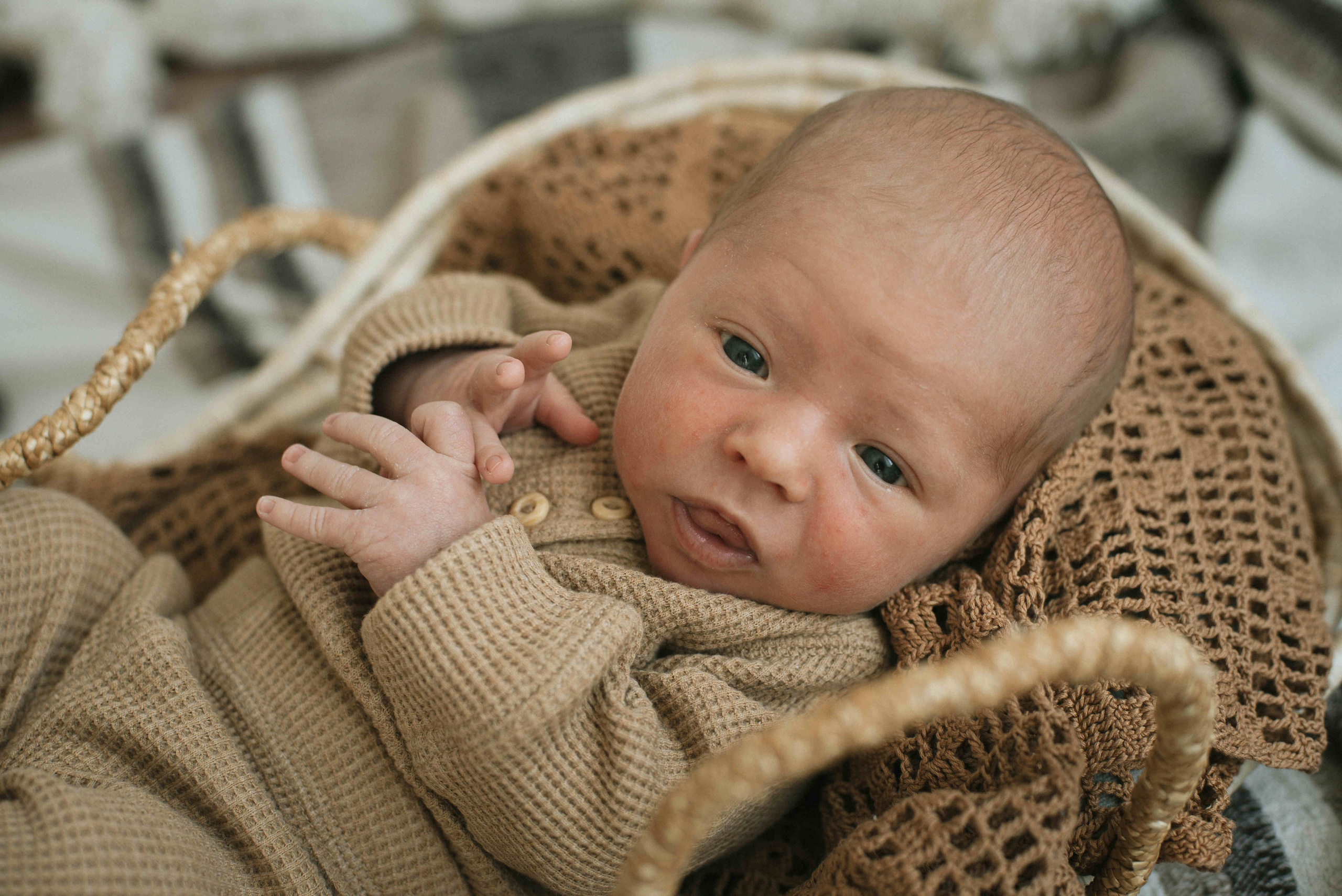 Teo 14 days. Newborn, Maternity & Family Photographer in Charlotte, North Carolina | Arhipova Julia