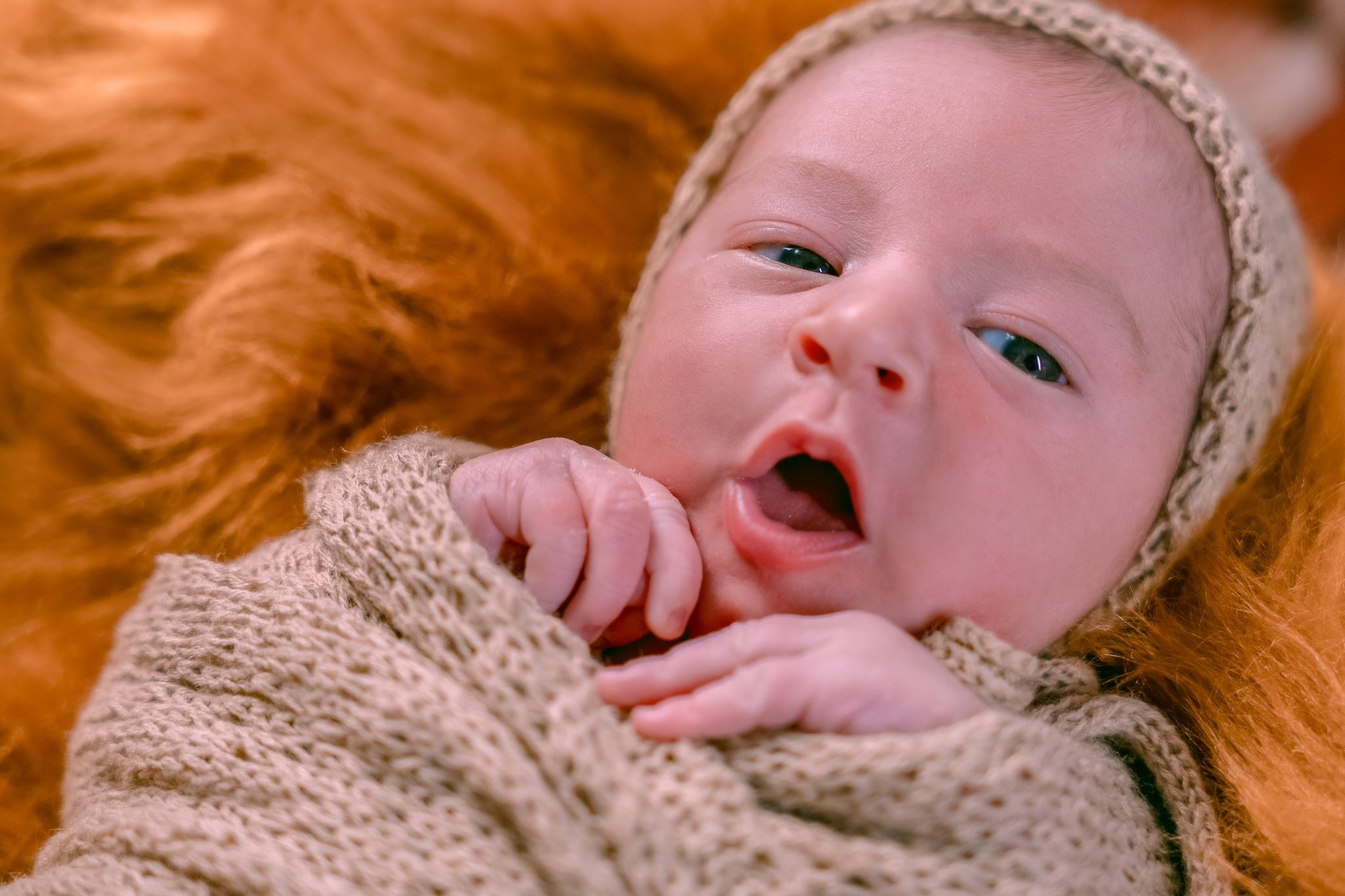 Vicente — 09/04/2024. Luiz Medeiros Produções