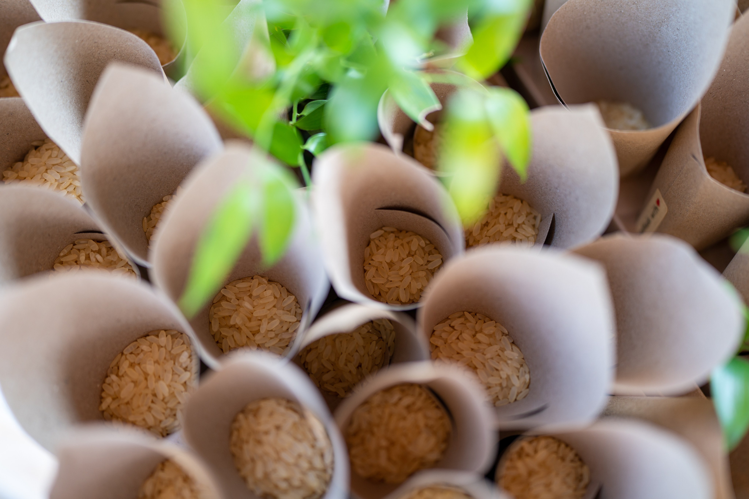 Danielle e Luca, Emilia Romagna. Fotografia e video