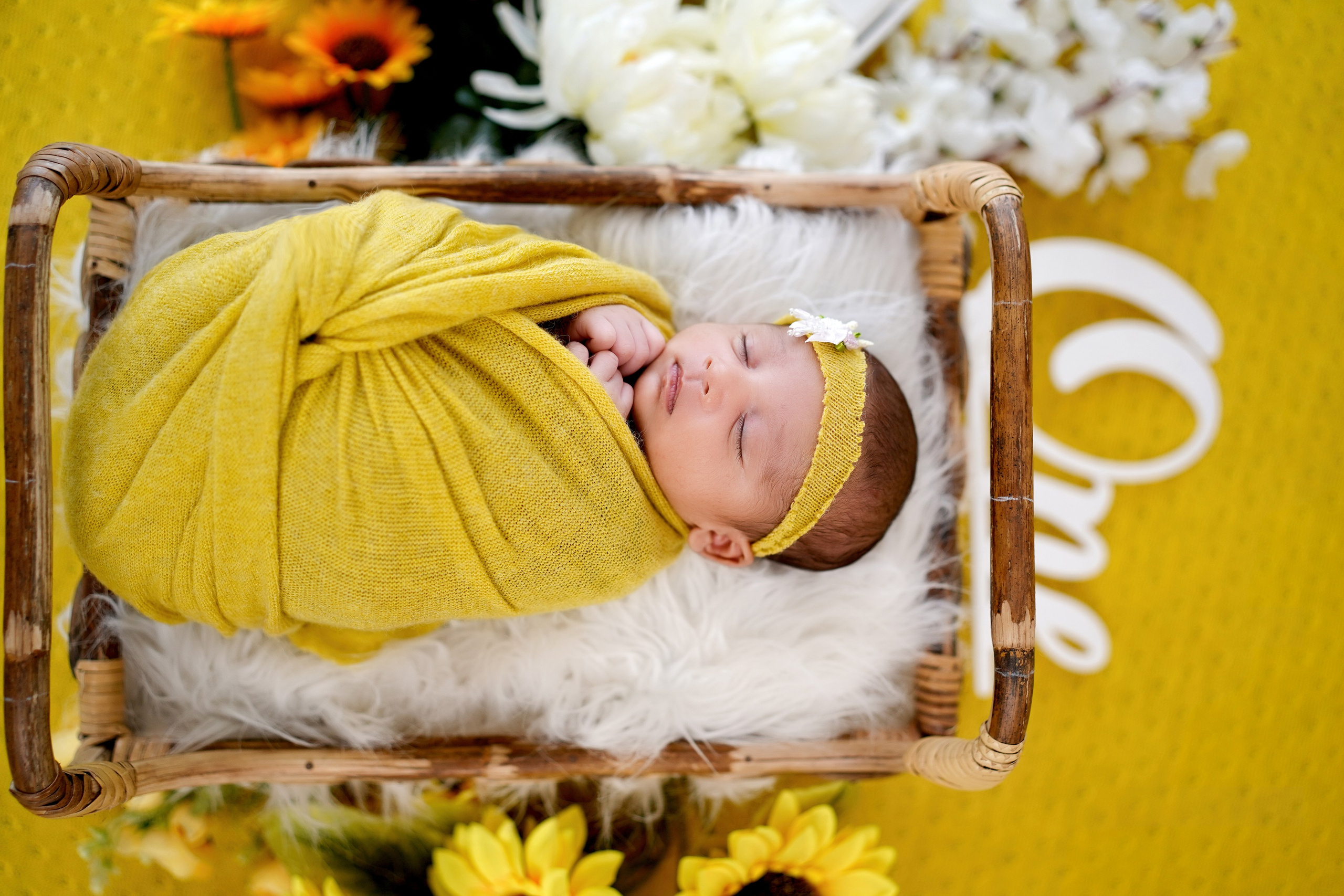 New born. TNF photo & filming