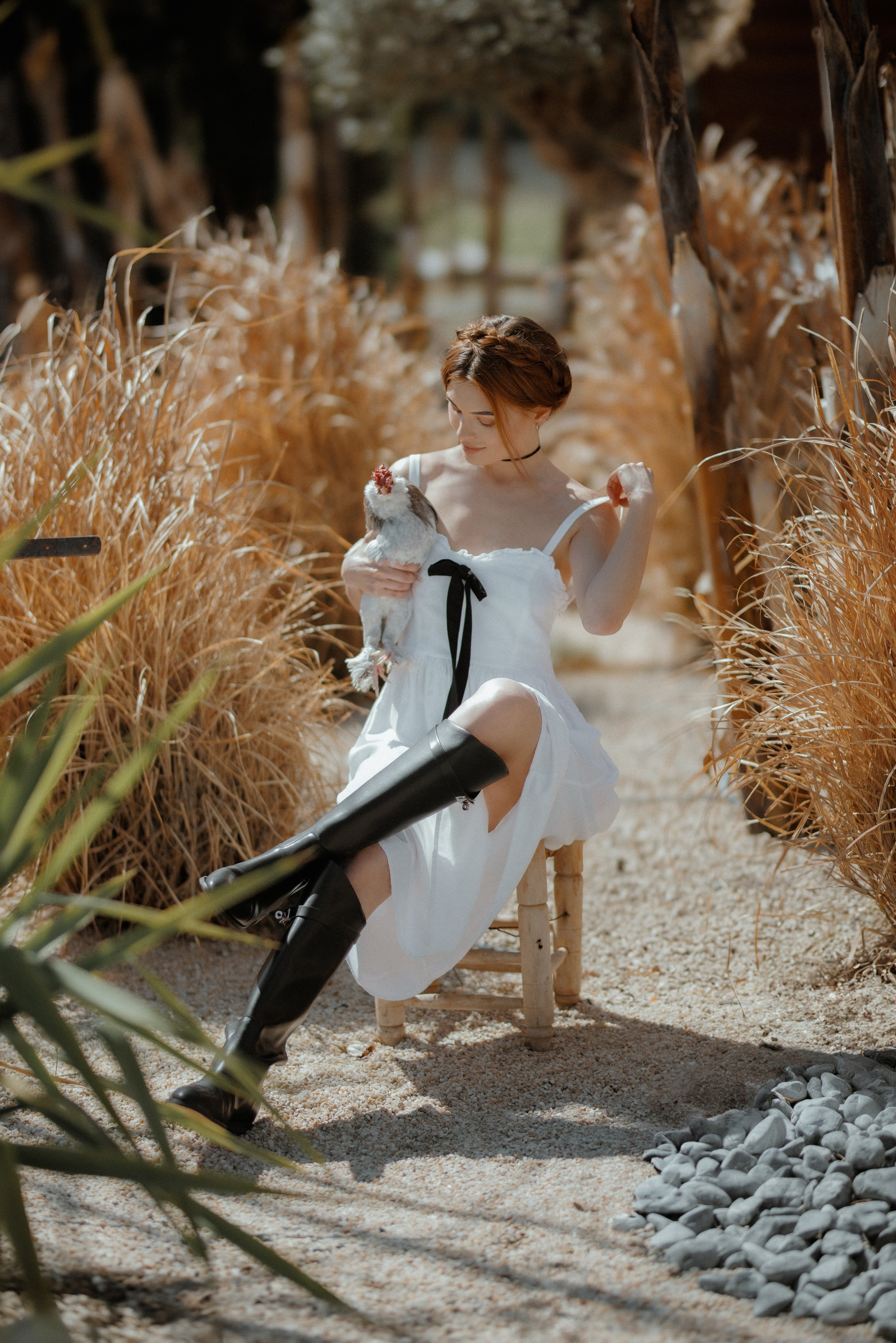 Курица. Фотосессия с курицей. Фото с курицей. Kemer Butiq garden. Локации в Кемере. красивые Локации в Кемере.Локации в Кемере для фотосессии. Локации в Кемере с курицей. Локации в Кемере турция.