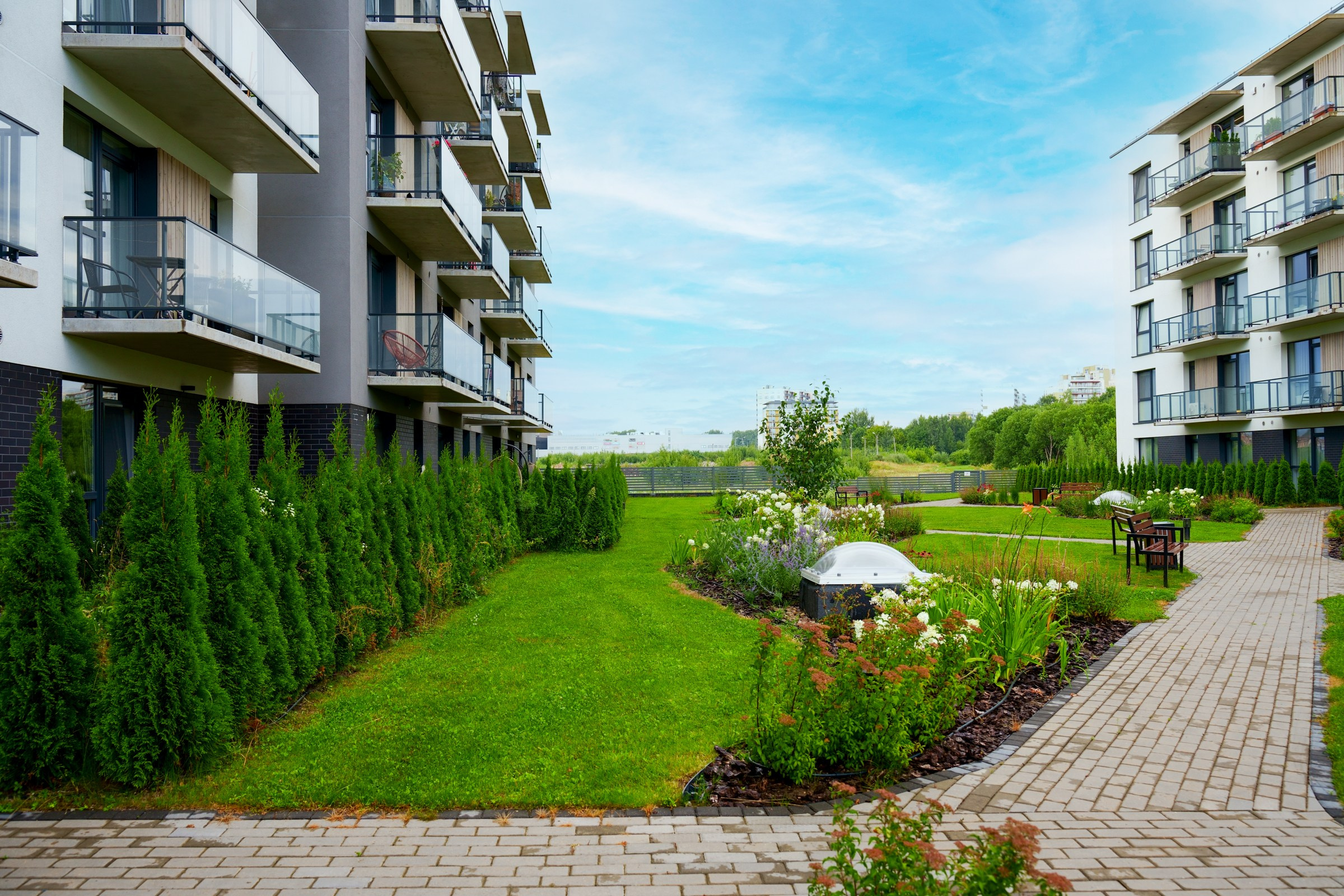 Budiniškių g. Elina Sapiega fotografė Vilniuje