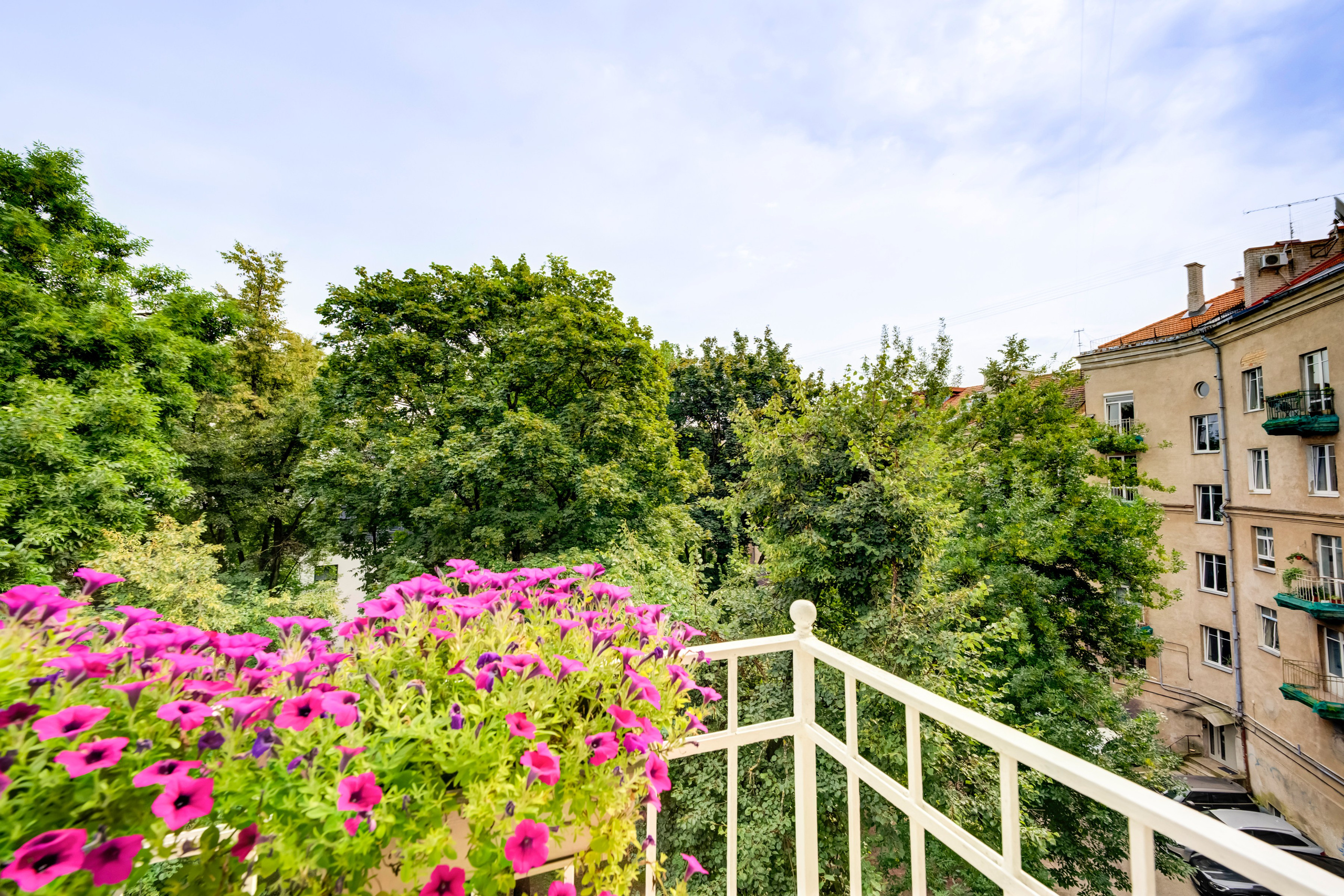 Pamėnkalnio g. 3. Elina Sapiega fotografė Vilniuje