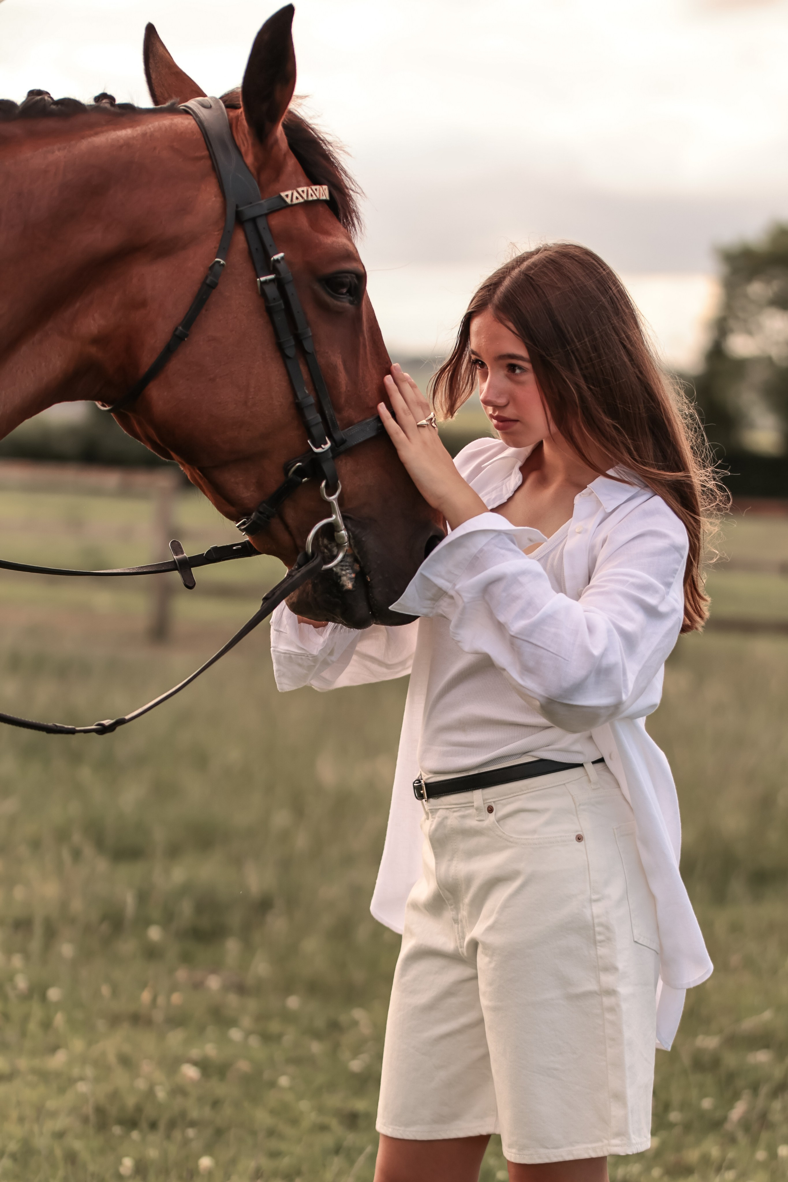 Among the Horses. Photographer Co Dublin, Balbriggan — Agata Maliseva