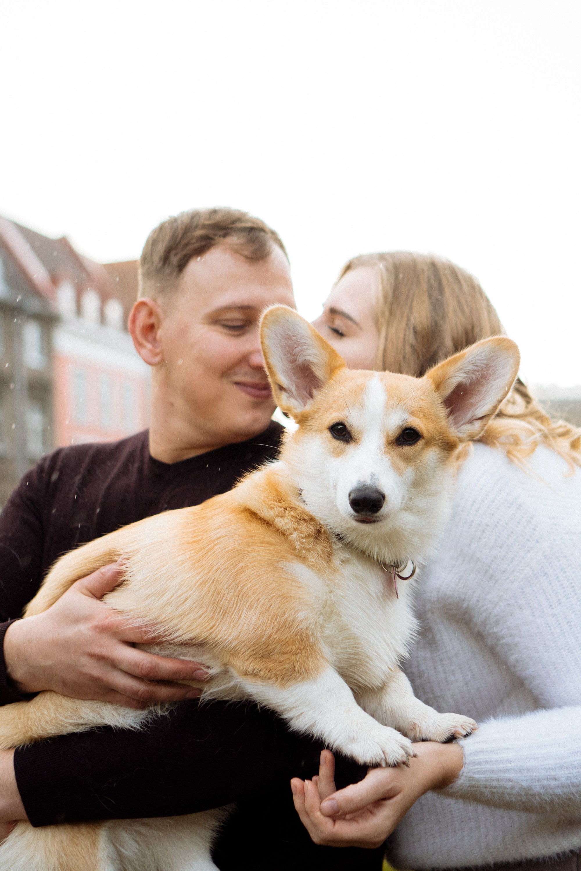 Maarika, Jegor and their Luna, Pembroke Welsh Corgi. Kat Laisaar — Pet photographer in Tallinn