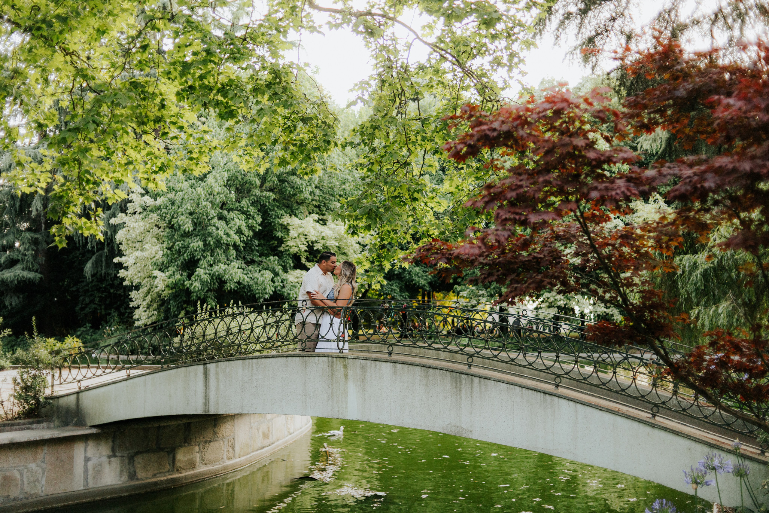 Wedding Proposal / Ian & Kaitlin. Philipe Fotografia