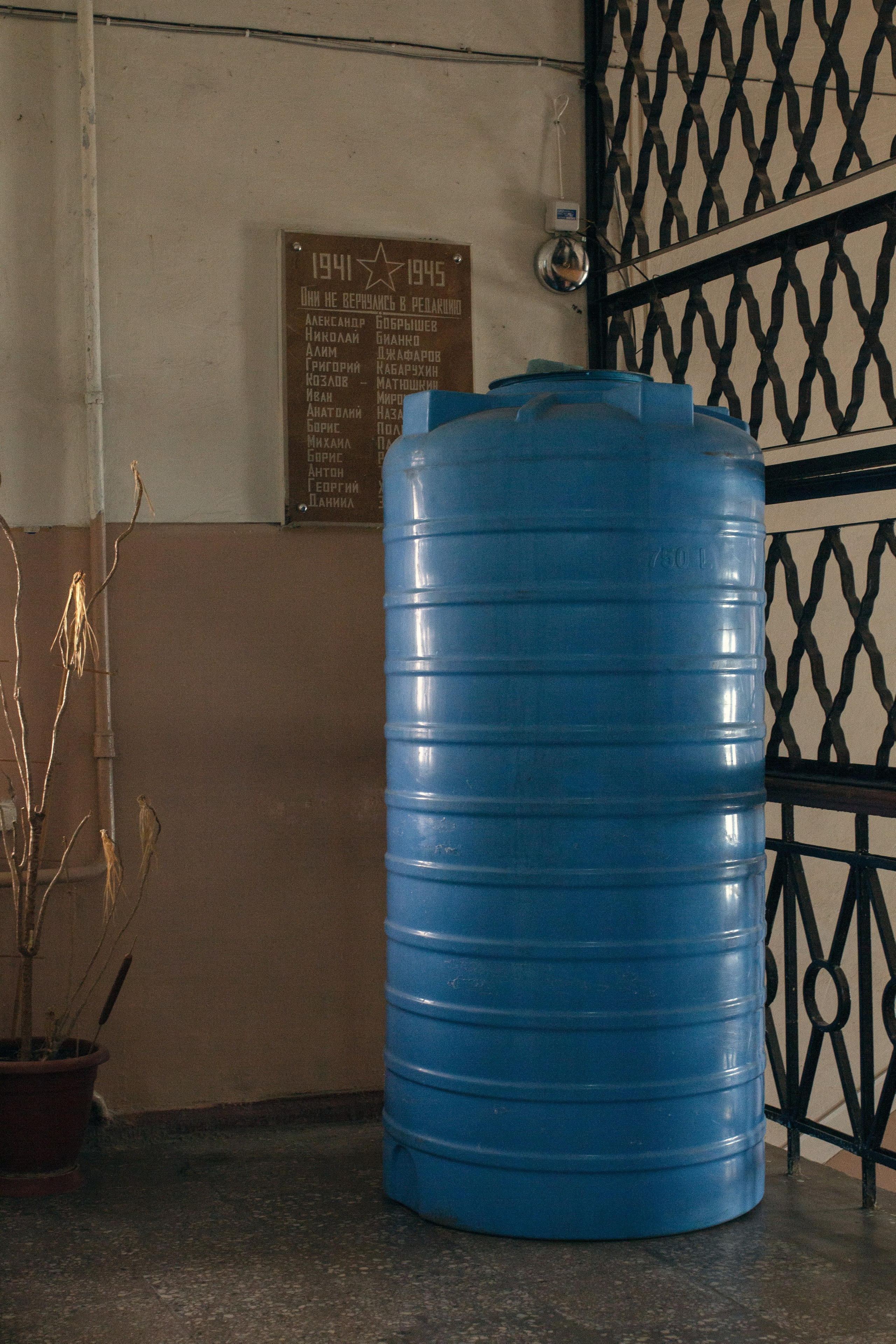 Taganrogskaya pravda. Visual artist