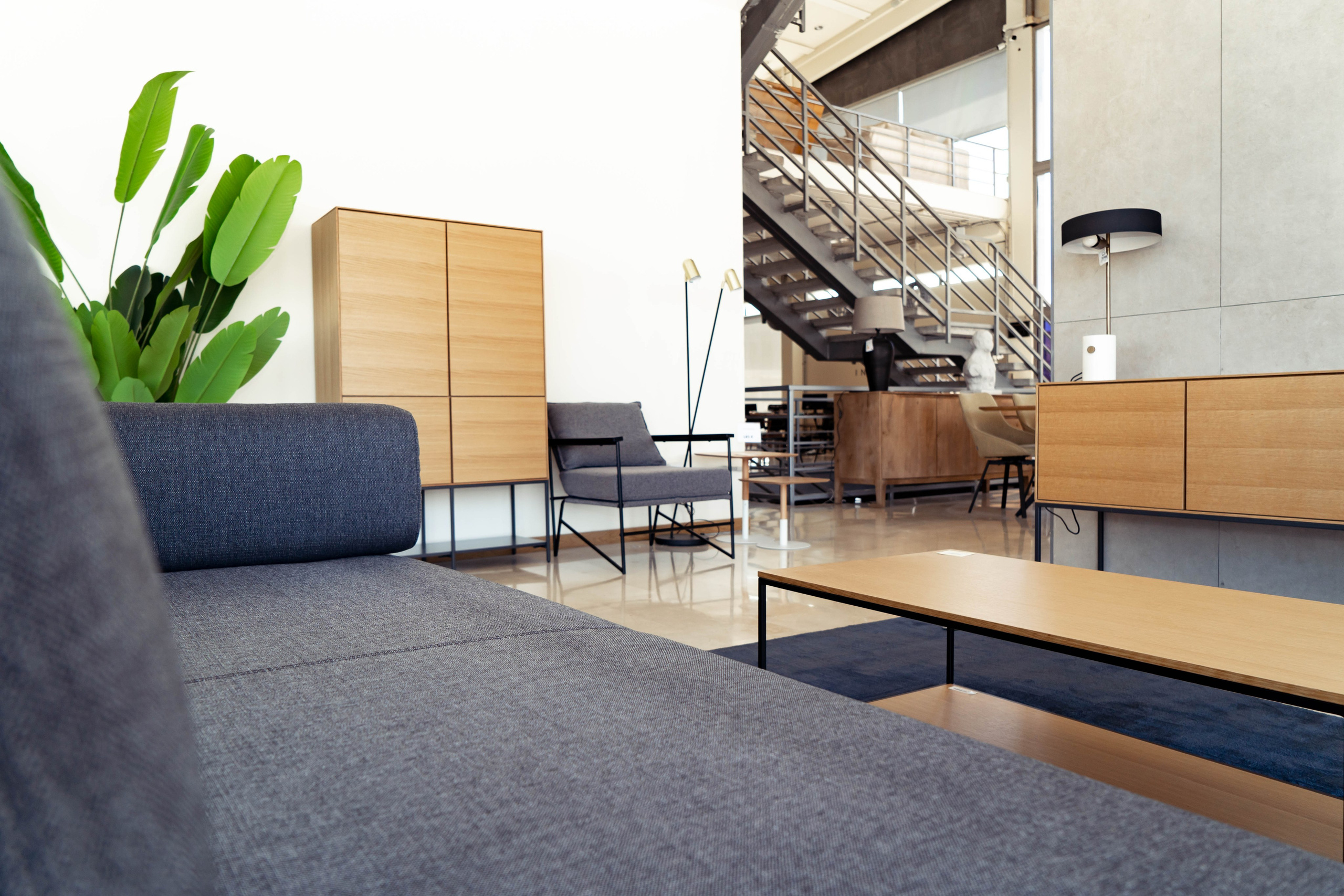 SANMARCO interior design. Baby Beast